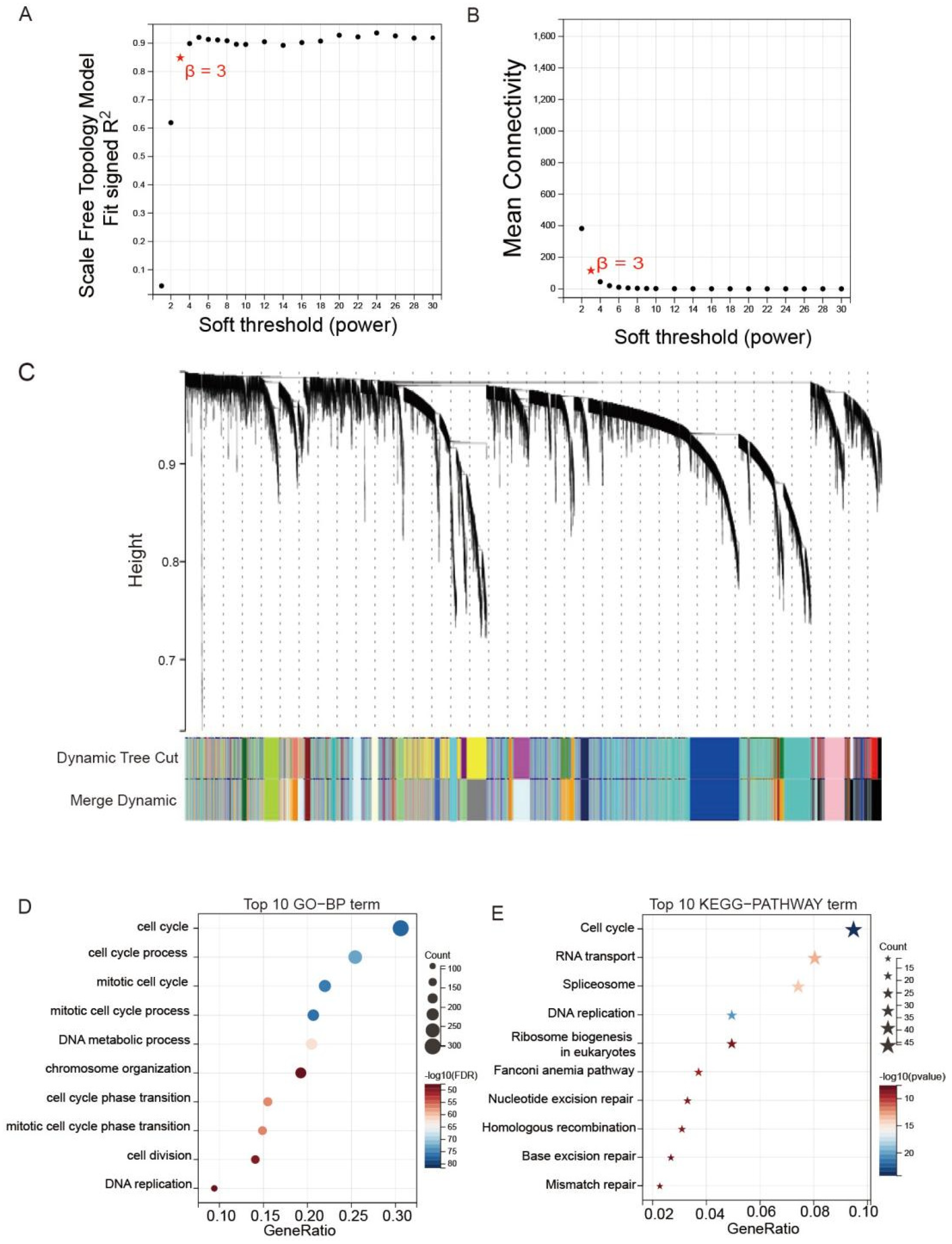 Biology 11 01488 g006