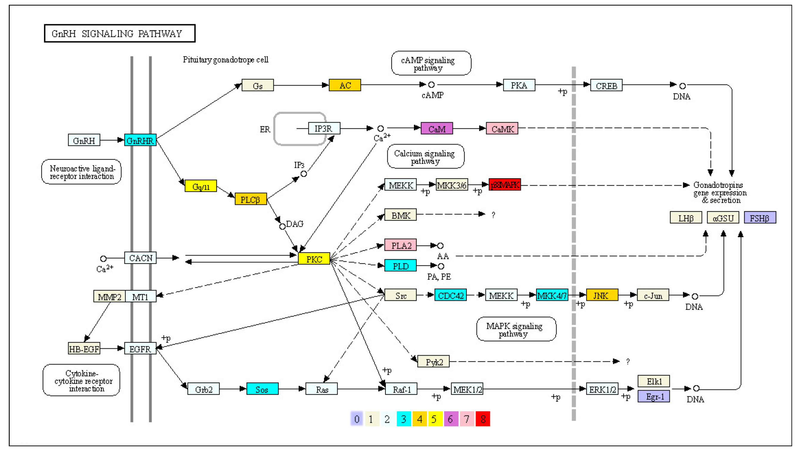 Biology 11 01500 g004