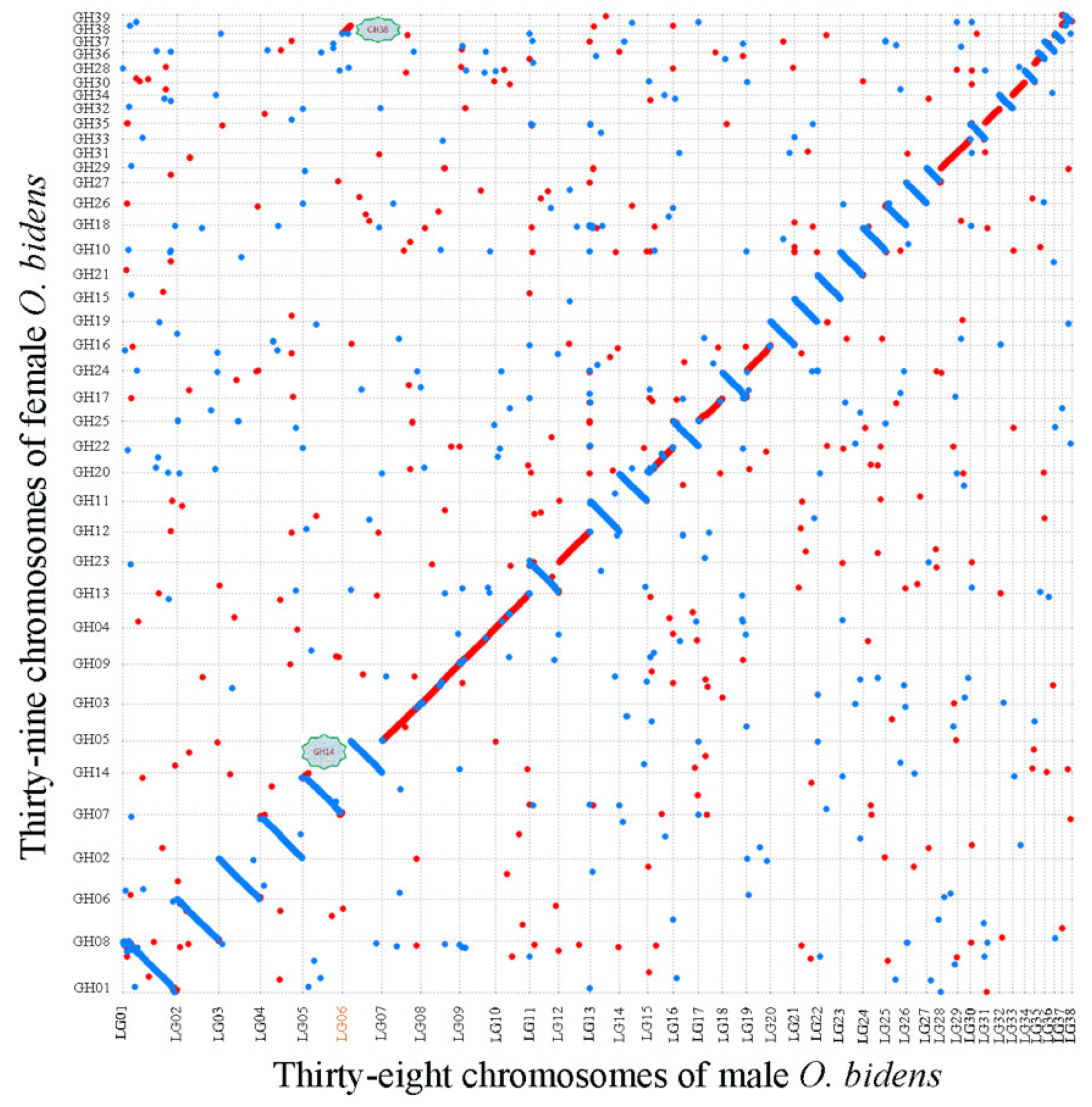 Biology 11 01500 g006