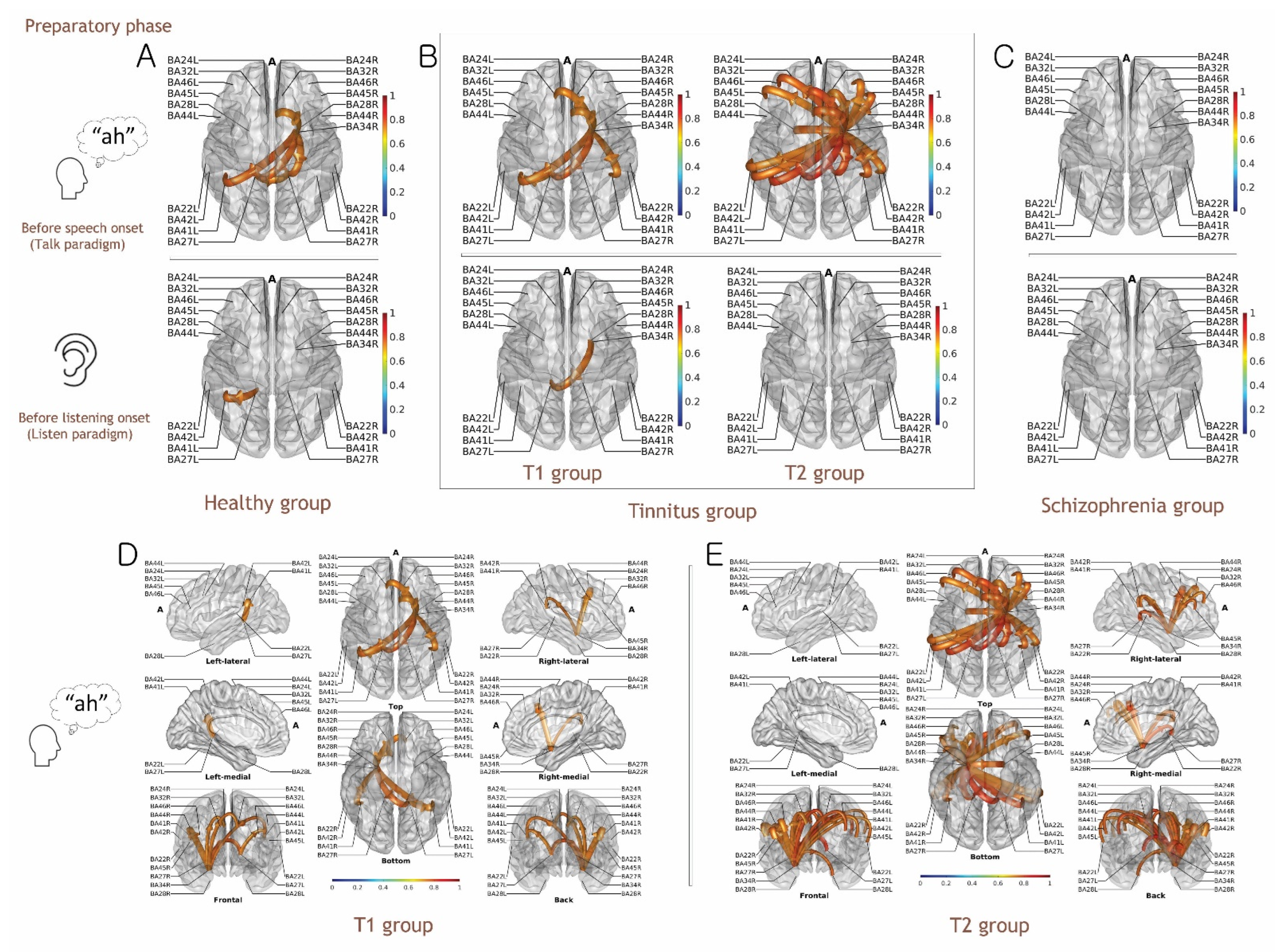 Biology 11 01501 g002