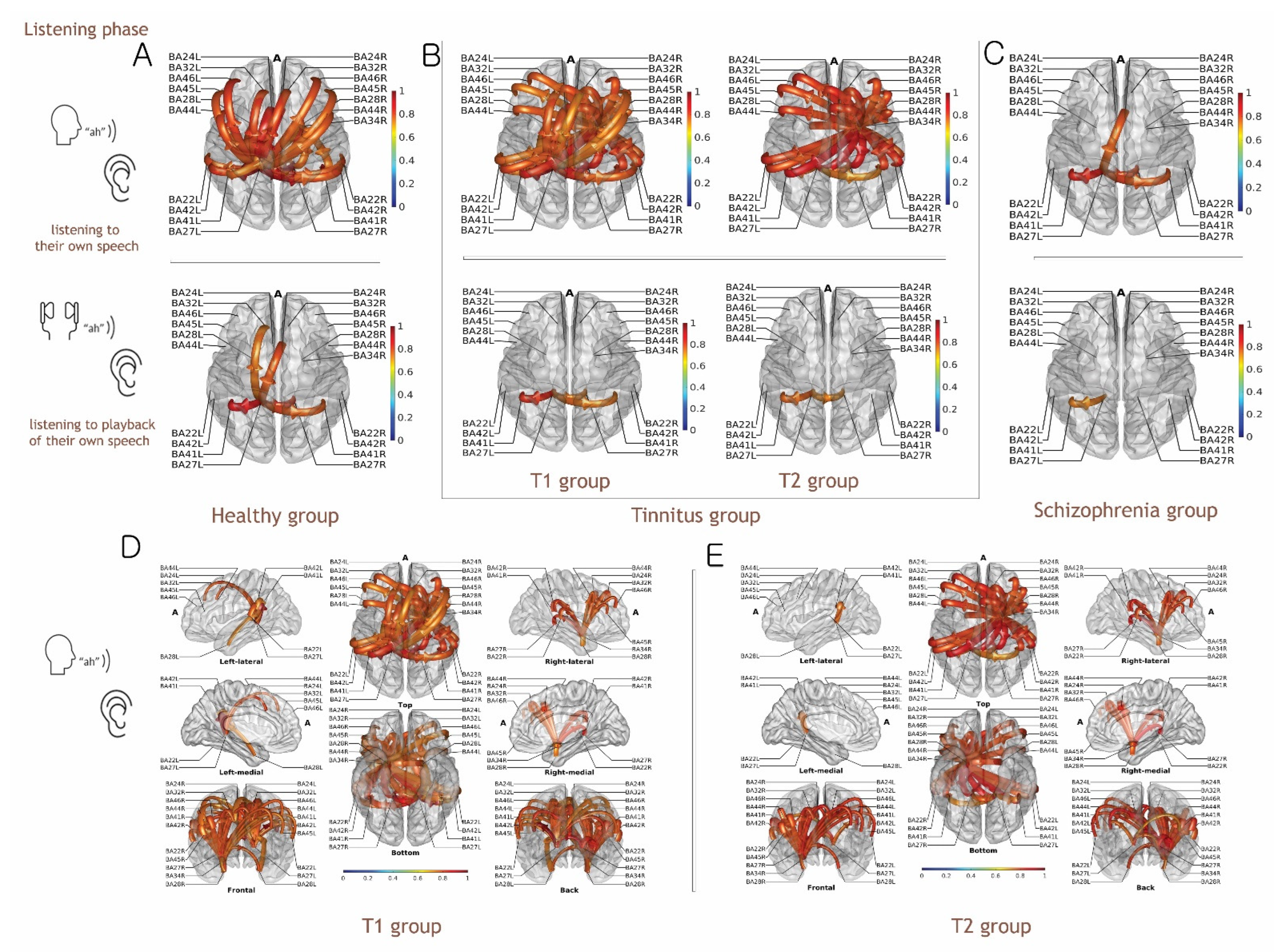 Biology 11 01501 g003