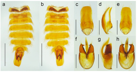 Biology 11 01503 g005