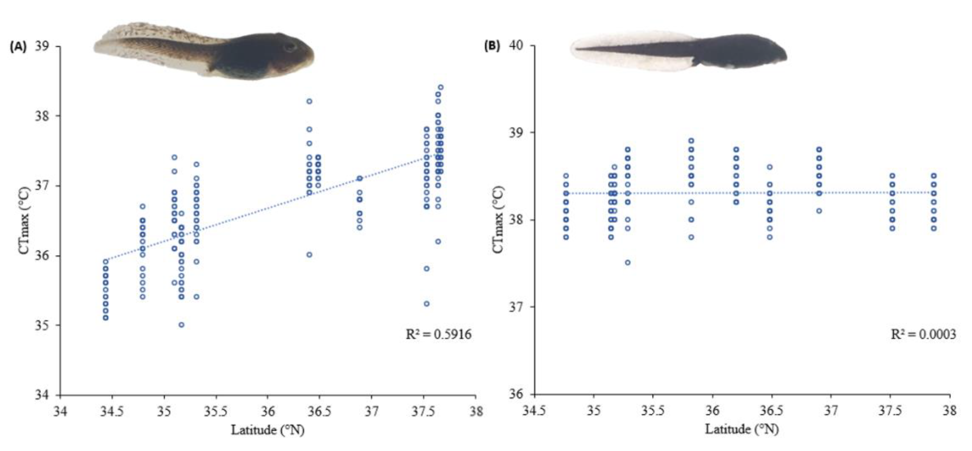 Biology 11 01506 g003