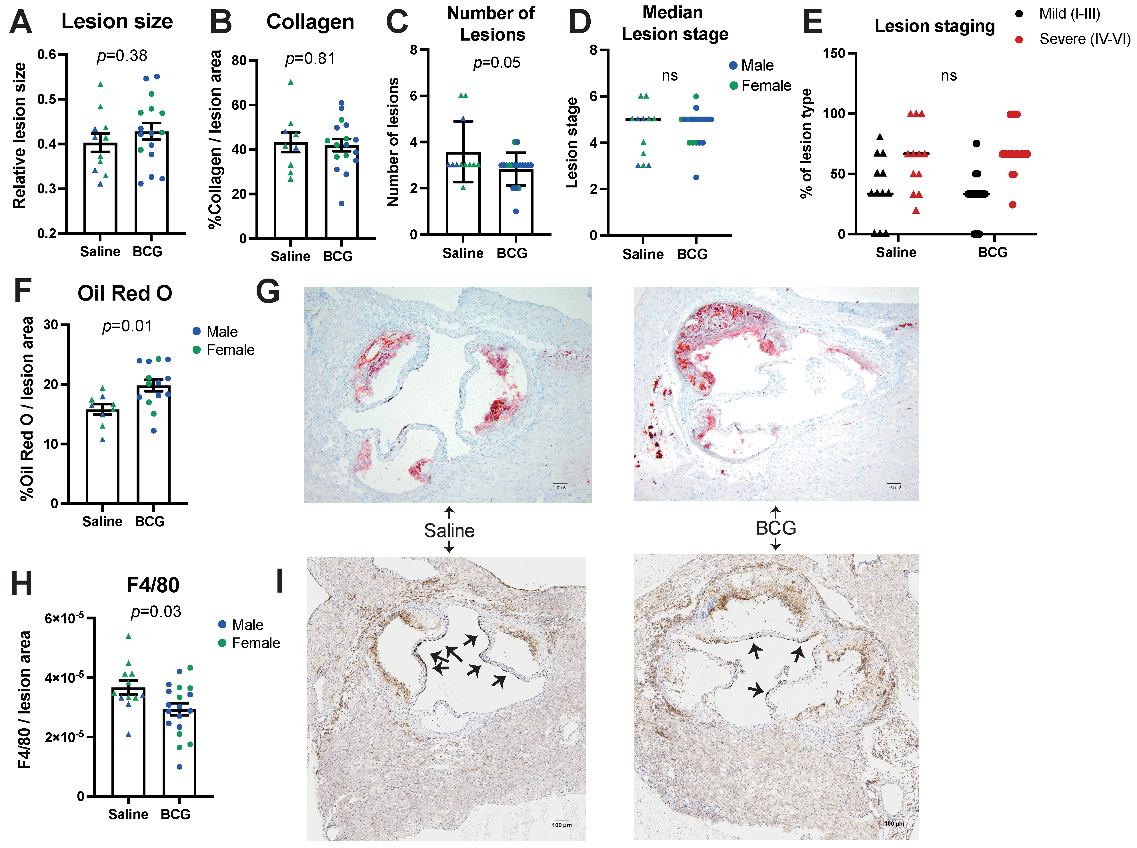 Biology 11 01511 g002