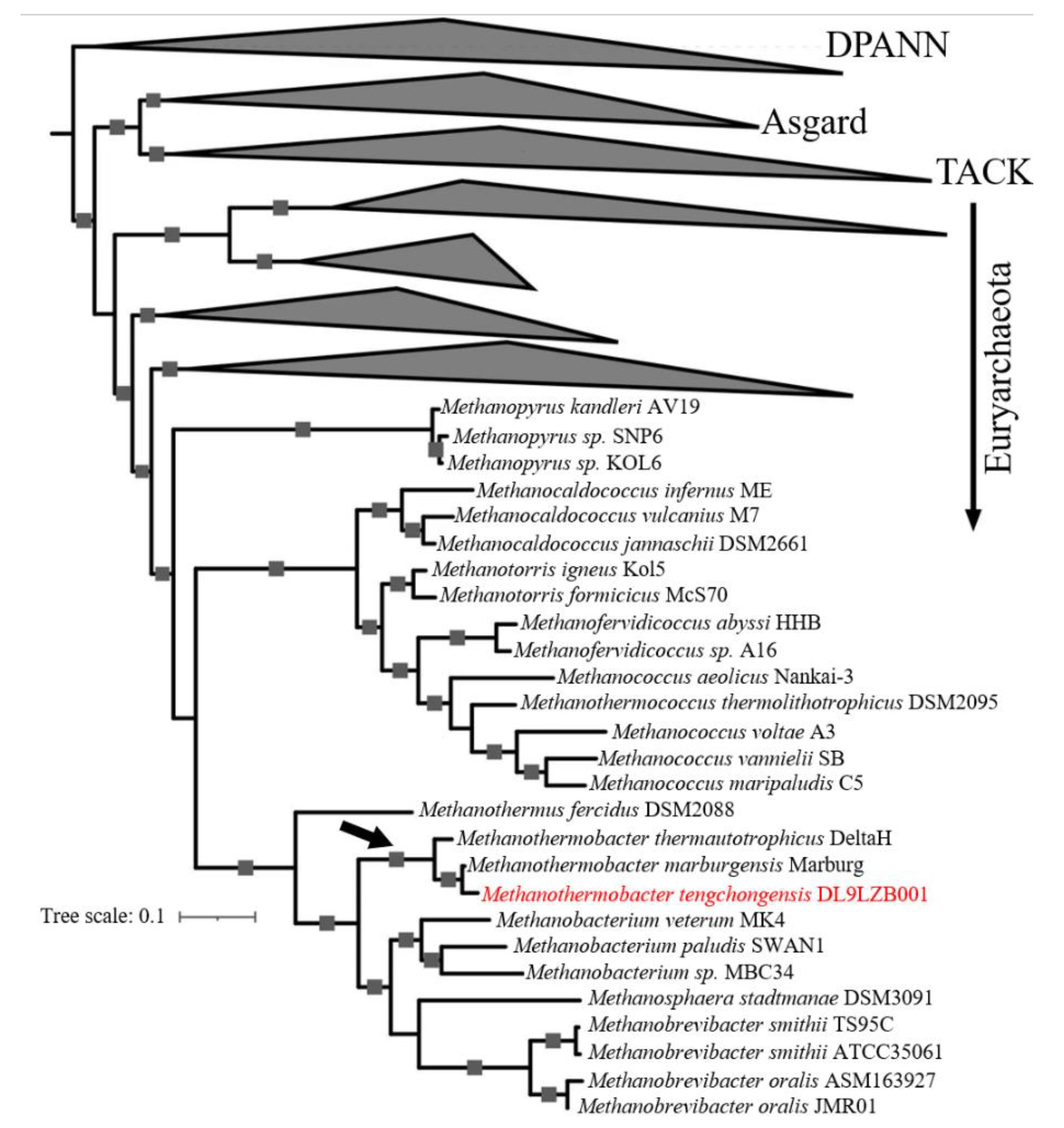 Biology 11 01514 g005