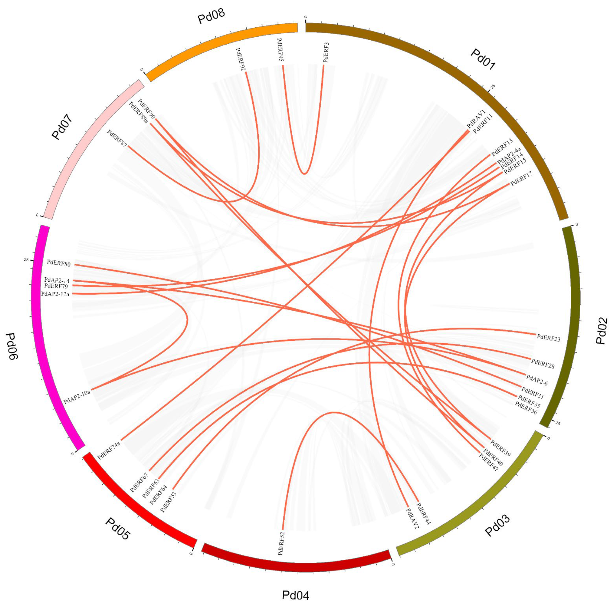 Biology 11 01520 g004 Biology 11 01520 g004