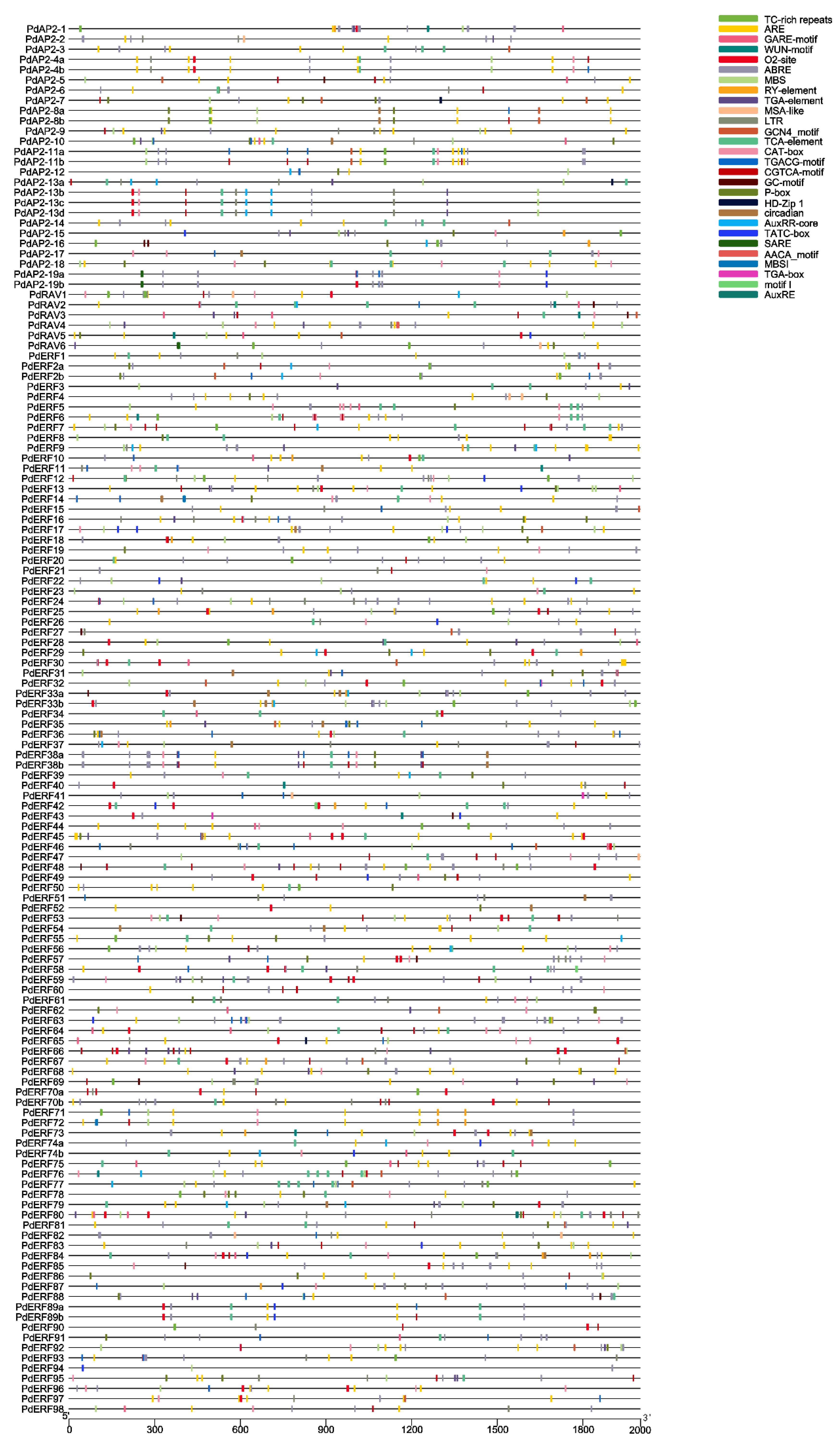 Biology 11 01520 g006 Biology 11 01520 g006