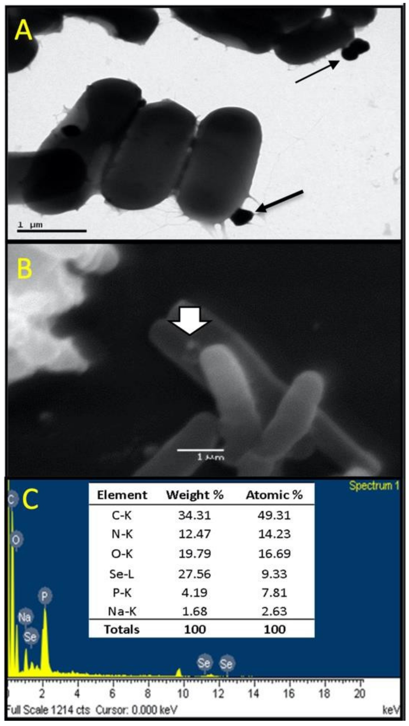 Biology 11 01523 g002