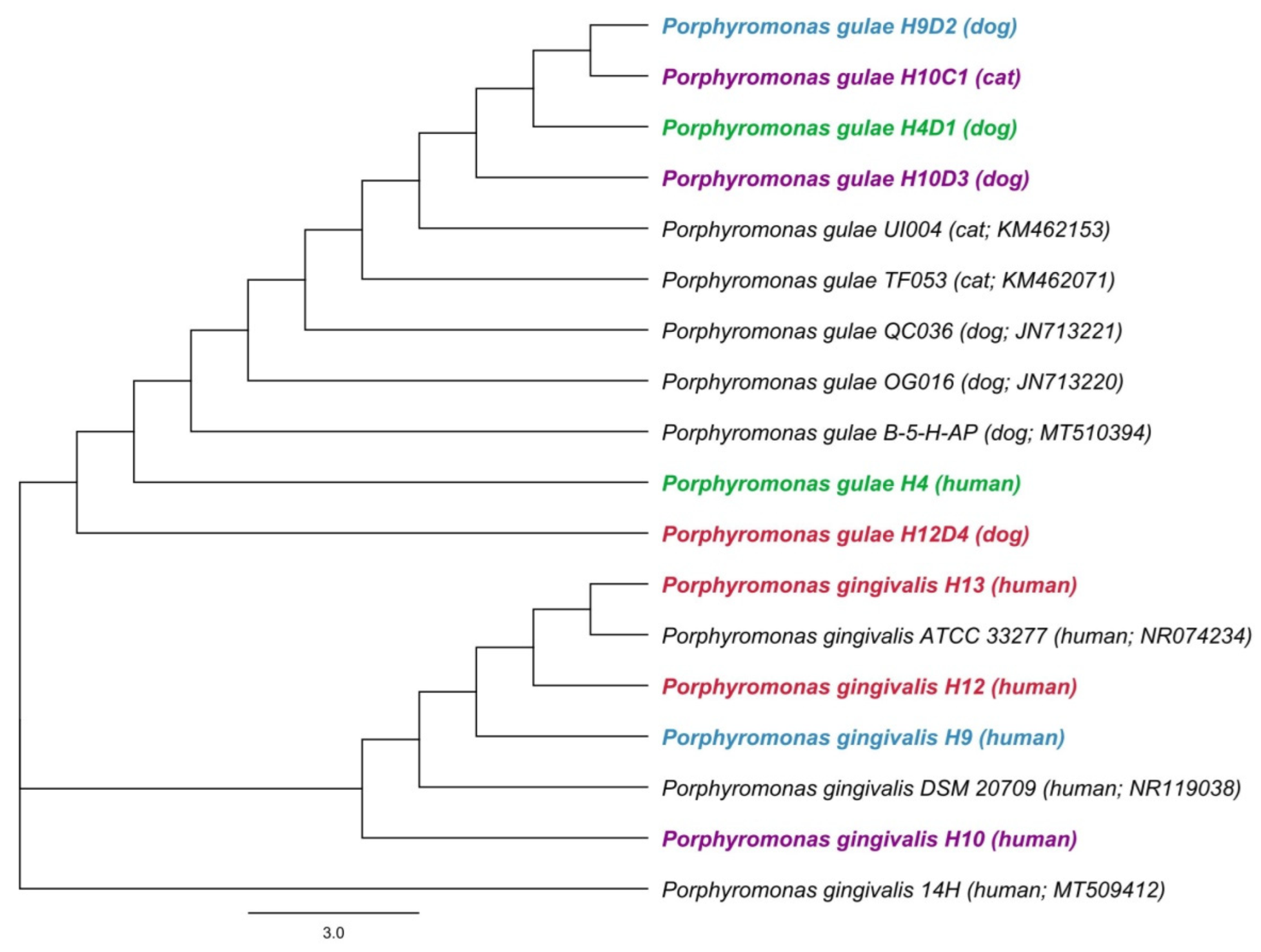 Biology 11 01529 g001
