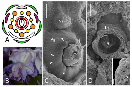 Biology 11 01530 g003