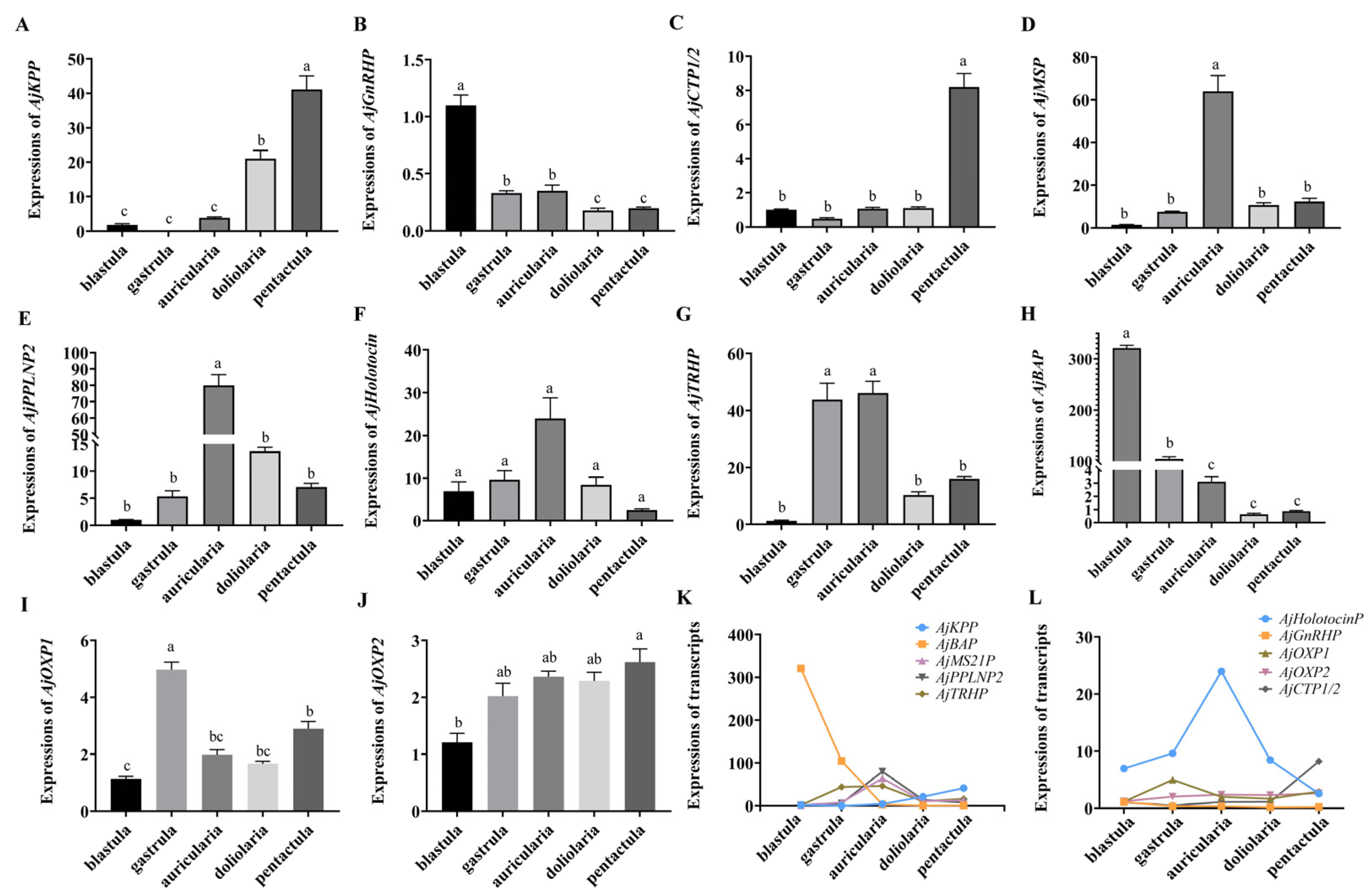 Biology 11 01538 g005