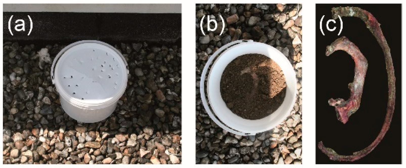 Biology 11 01542 g002