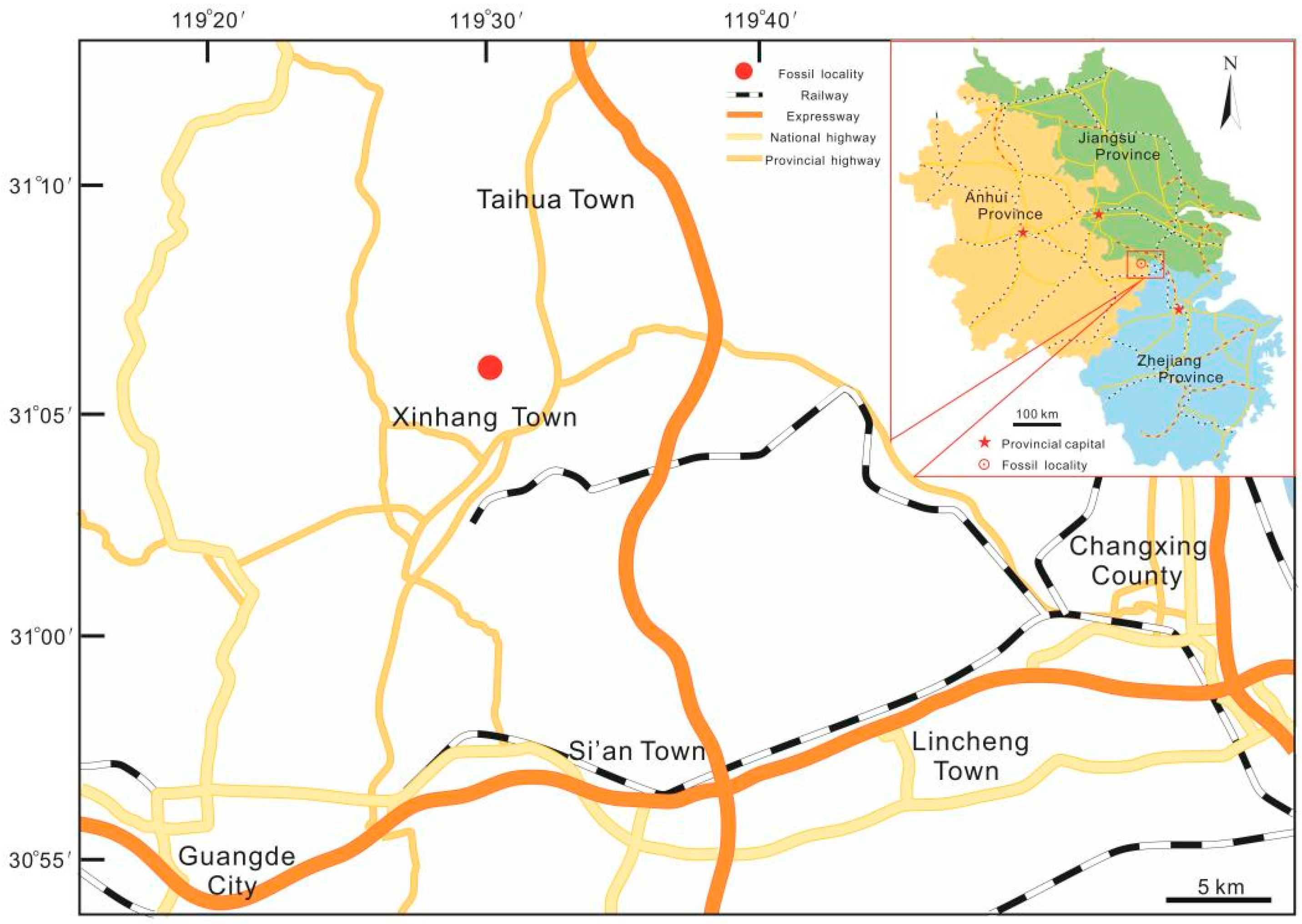 Biology 11 01544 g001