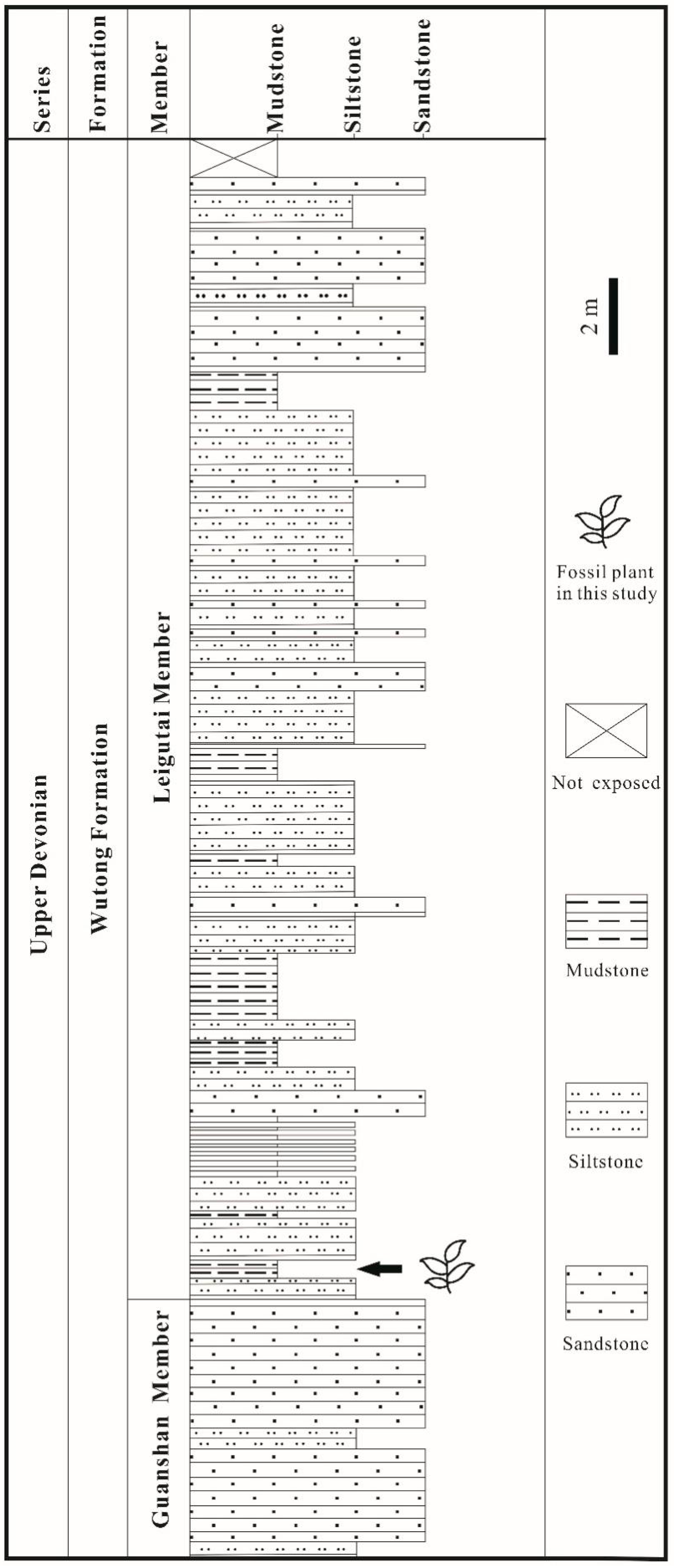 Biology 11 01544 g002