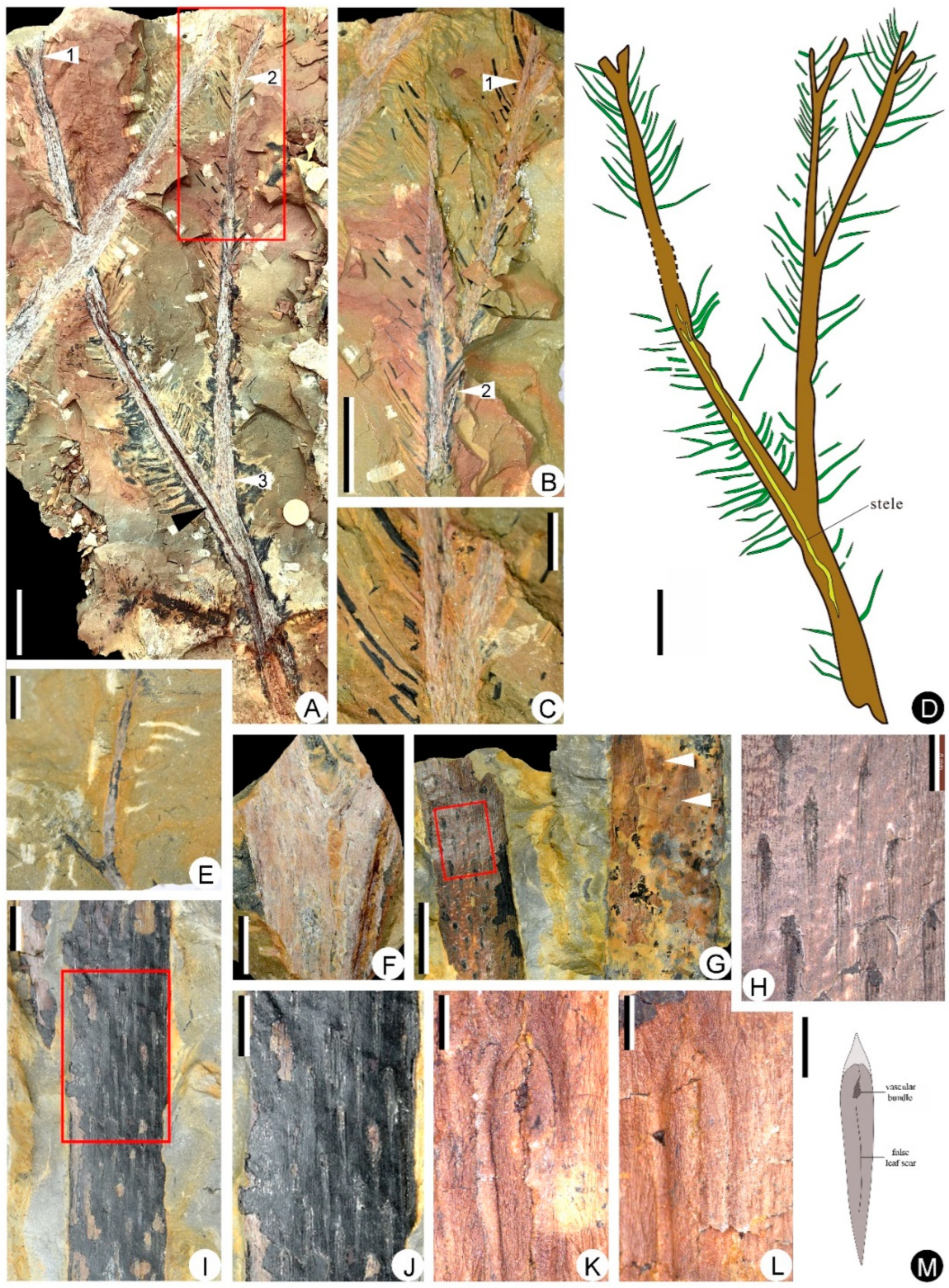 Biology 11 01544 g003