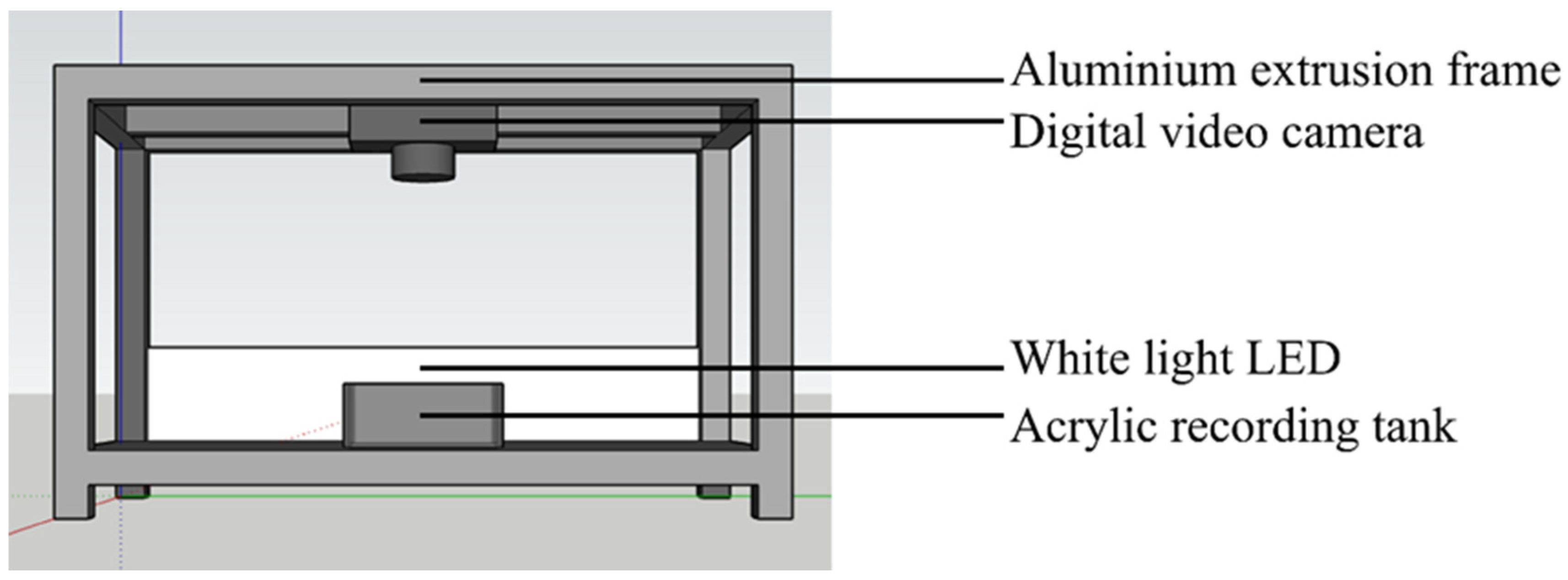 Biology 11 01560 g001