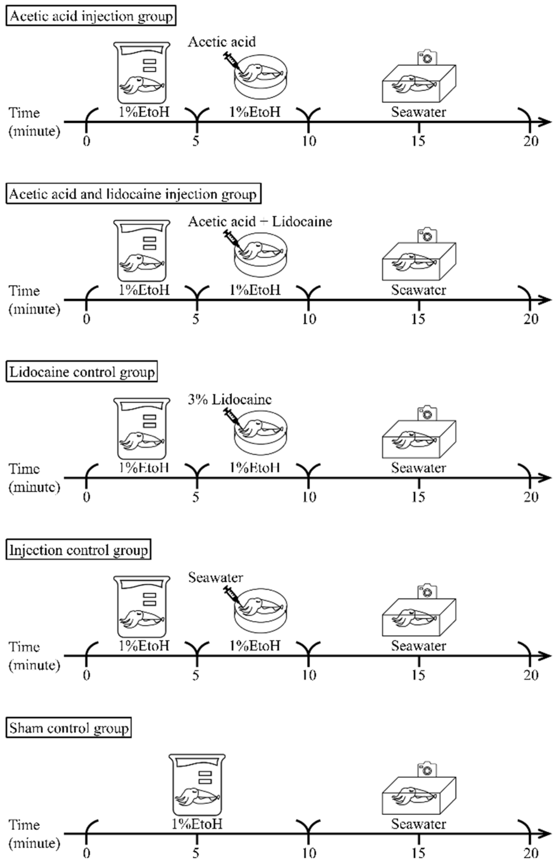 Biology 11 01560 g002