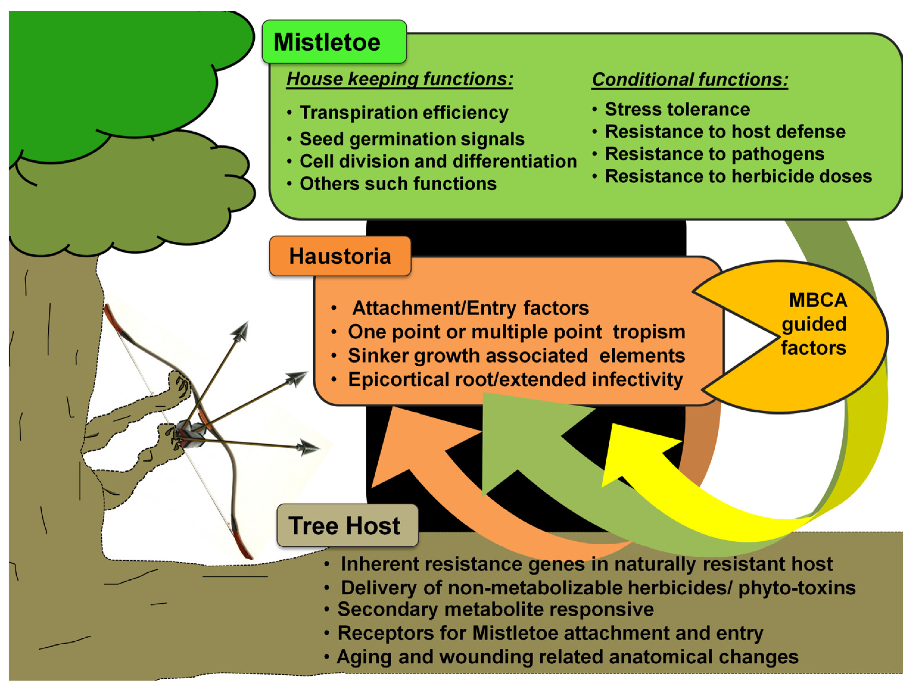 Biology 11 01645 g004