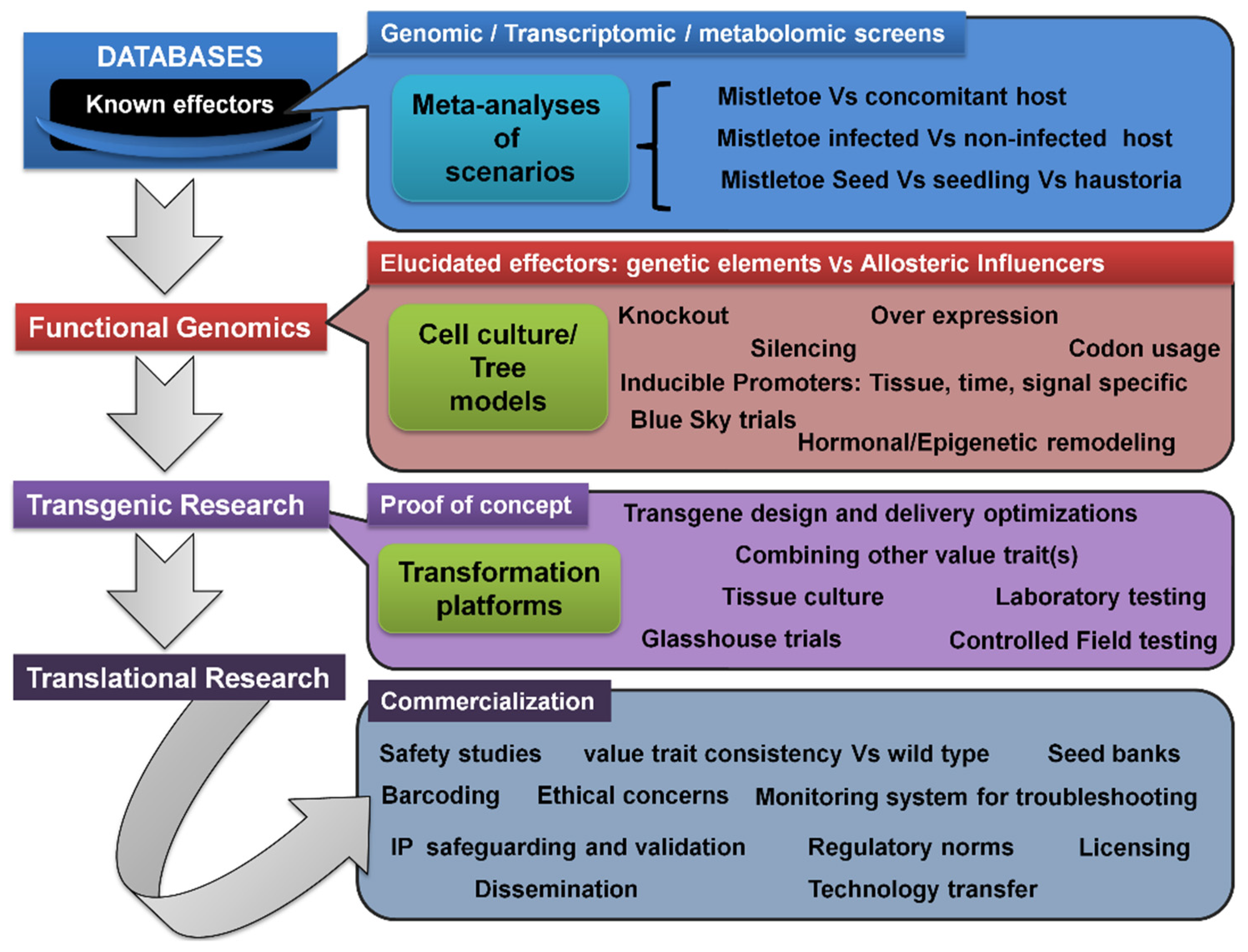 Biology 11 01645 g005