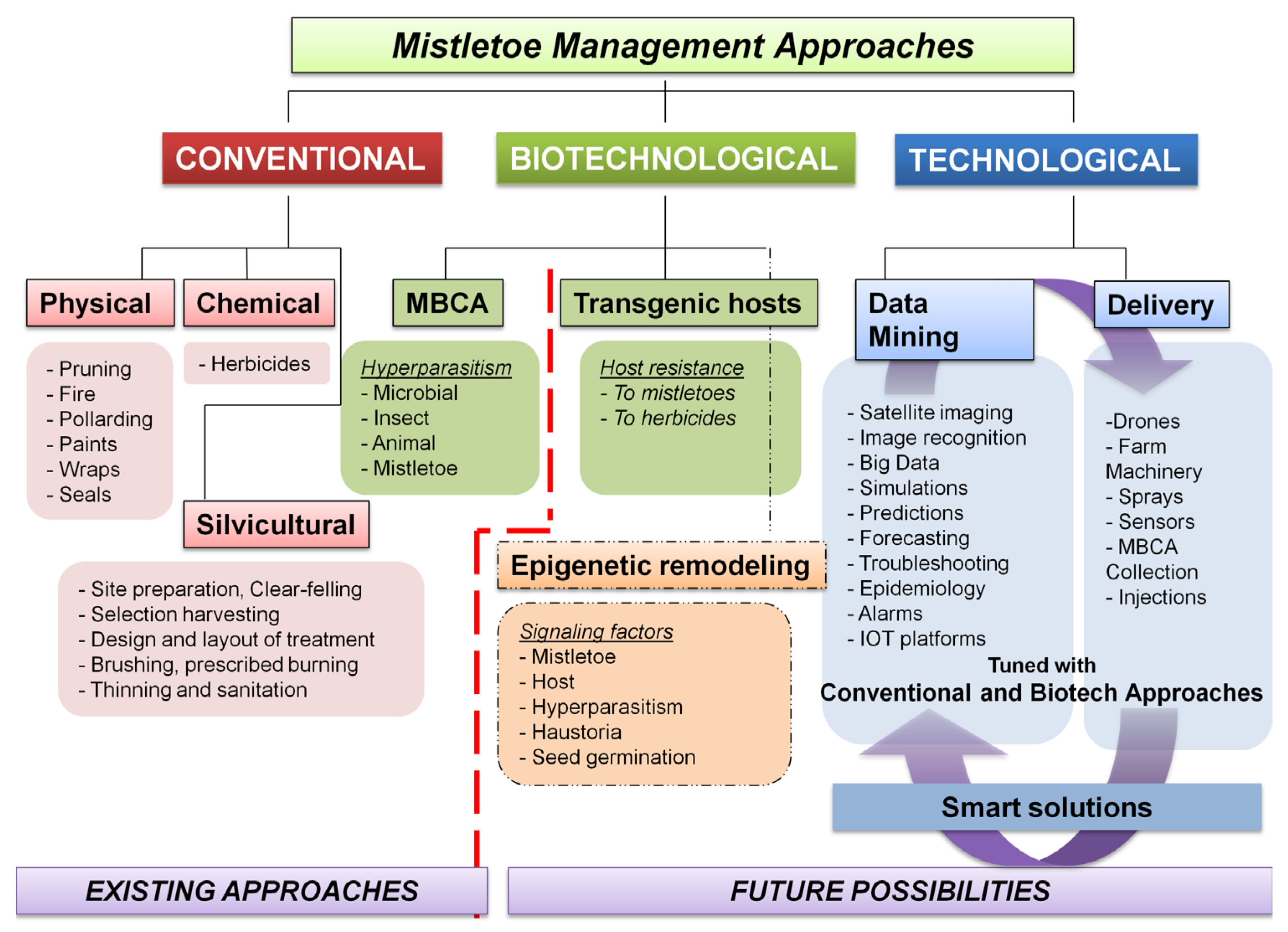 Biology 11 01645 g006
