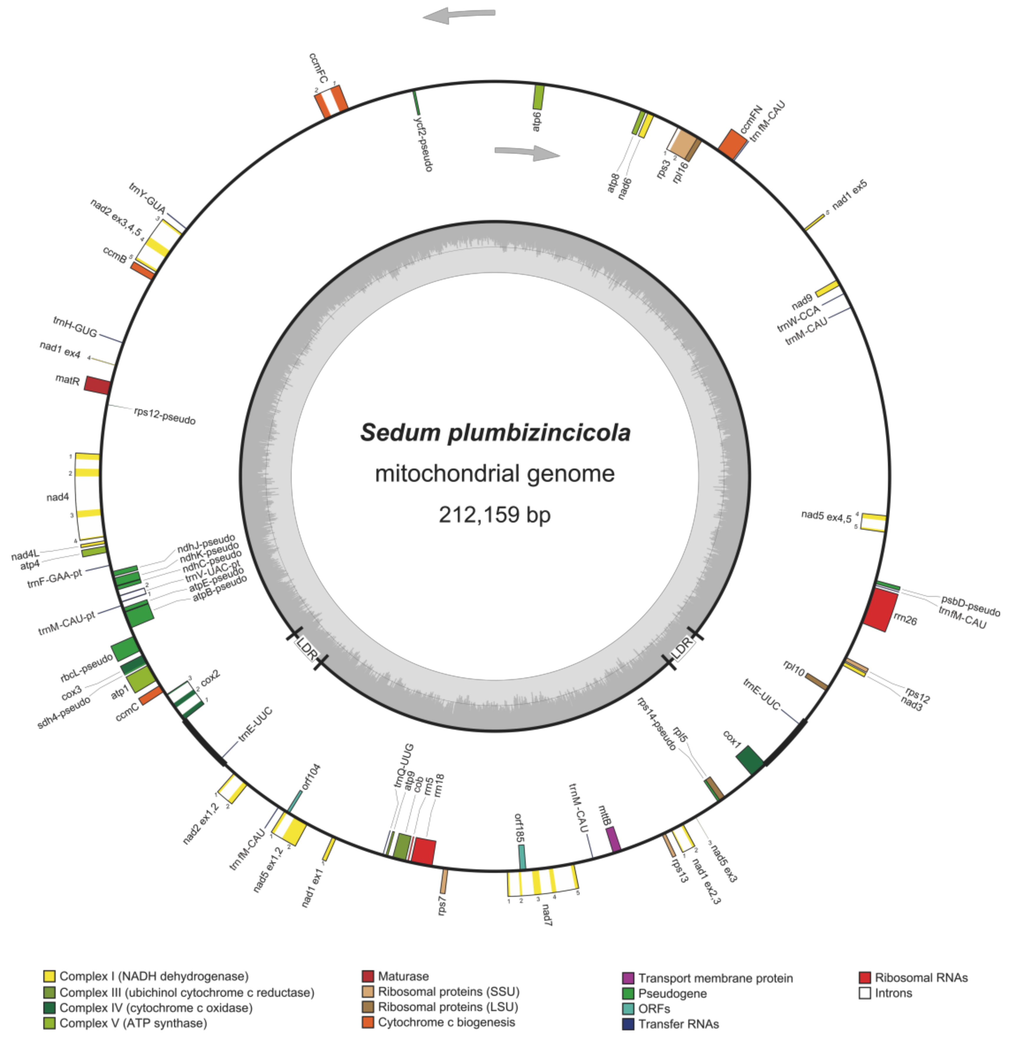 Biology 11 01661 g001