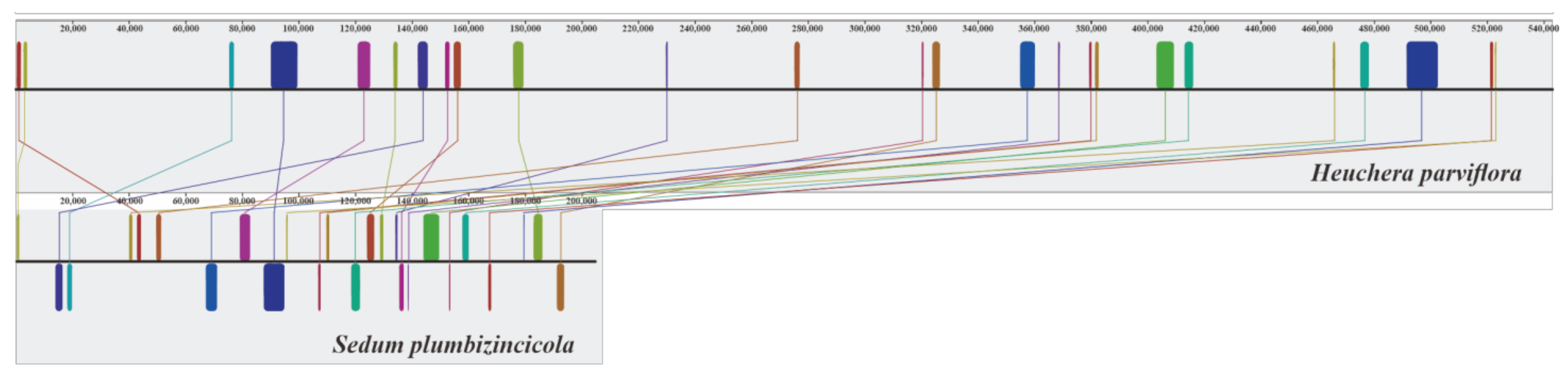 Biology 11 01661 g002