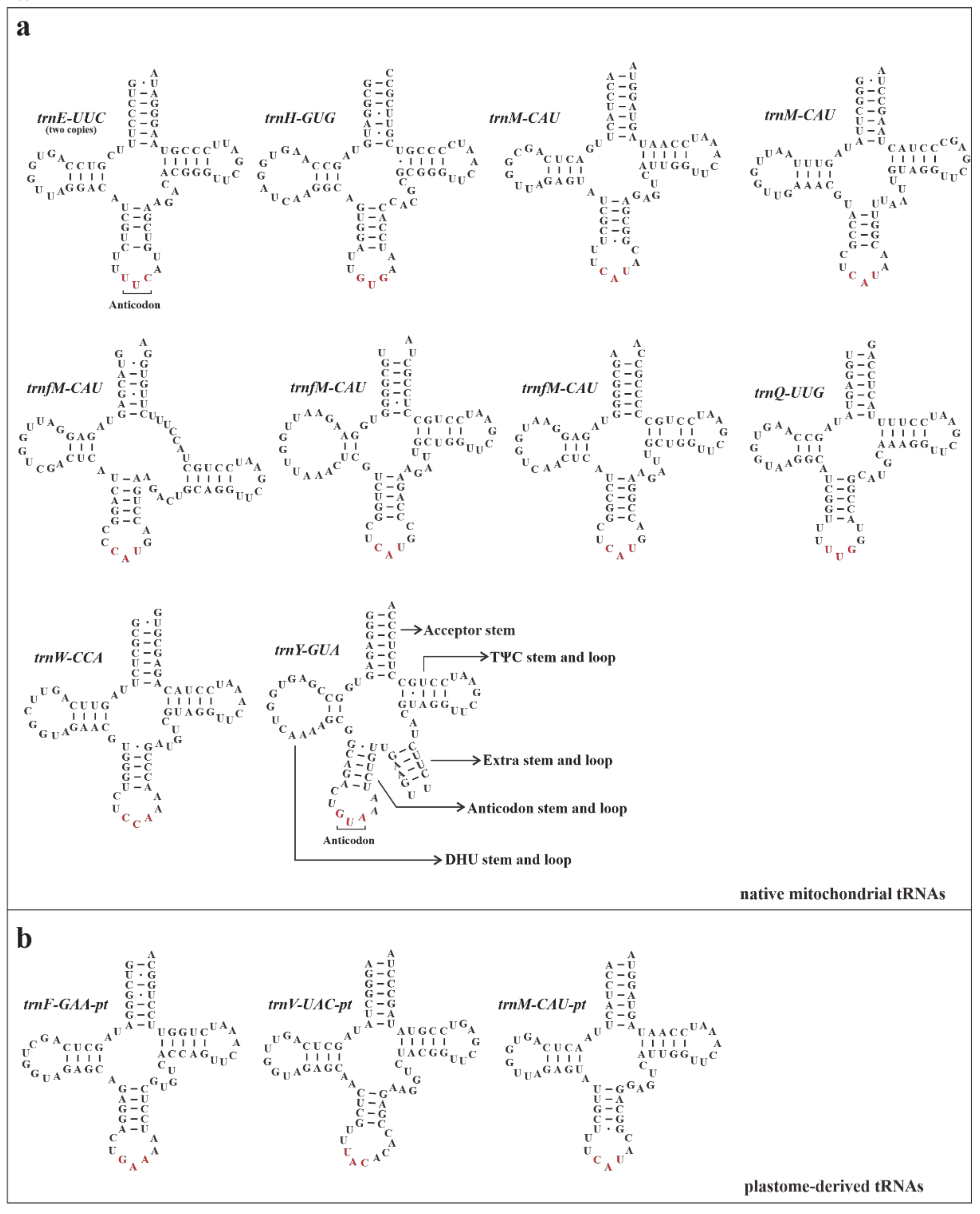 Biology 11 01661 g006
