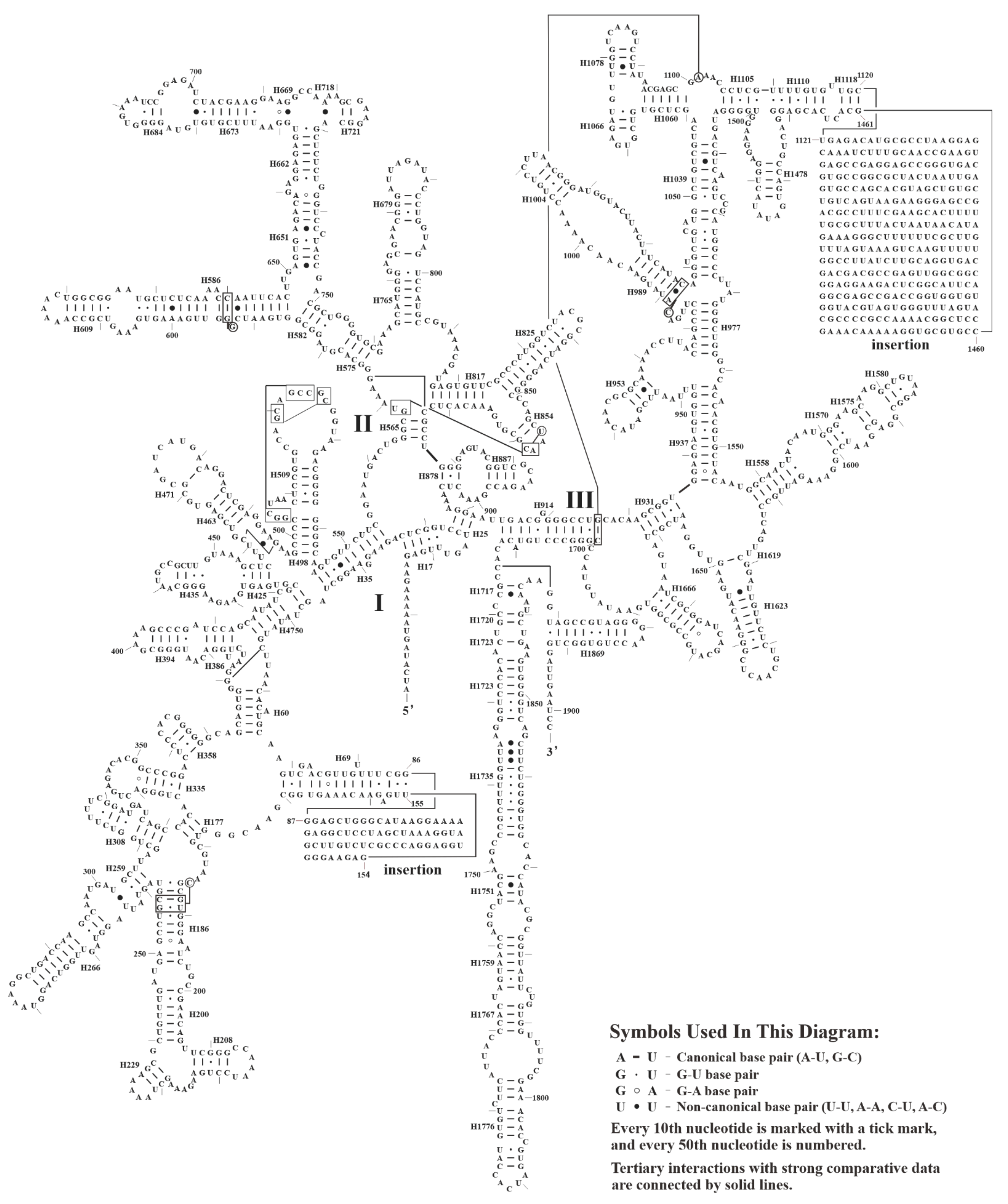 Biology 11 01661 g008