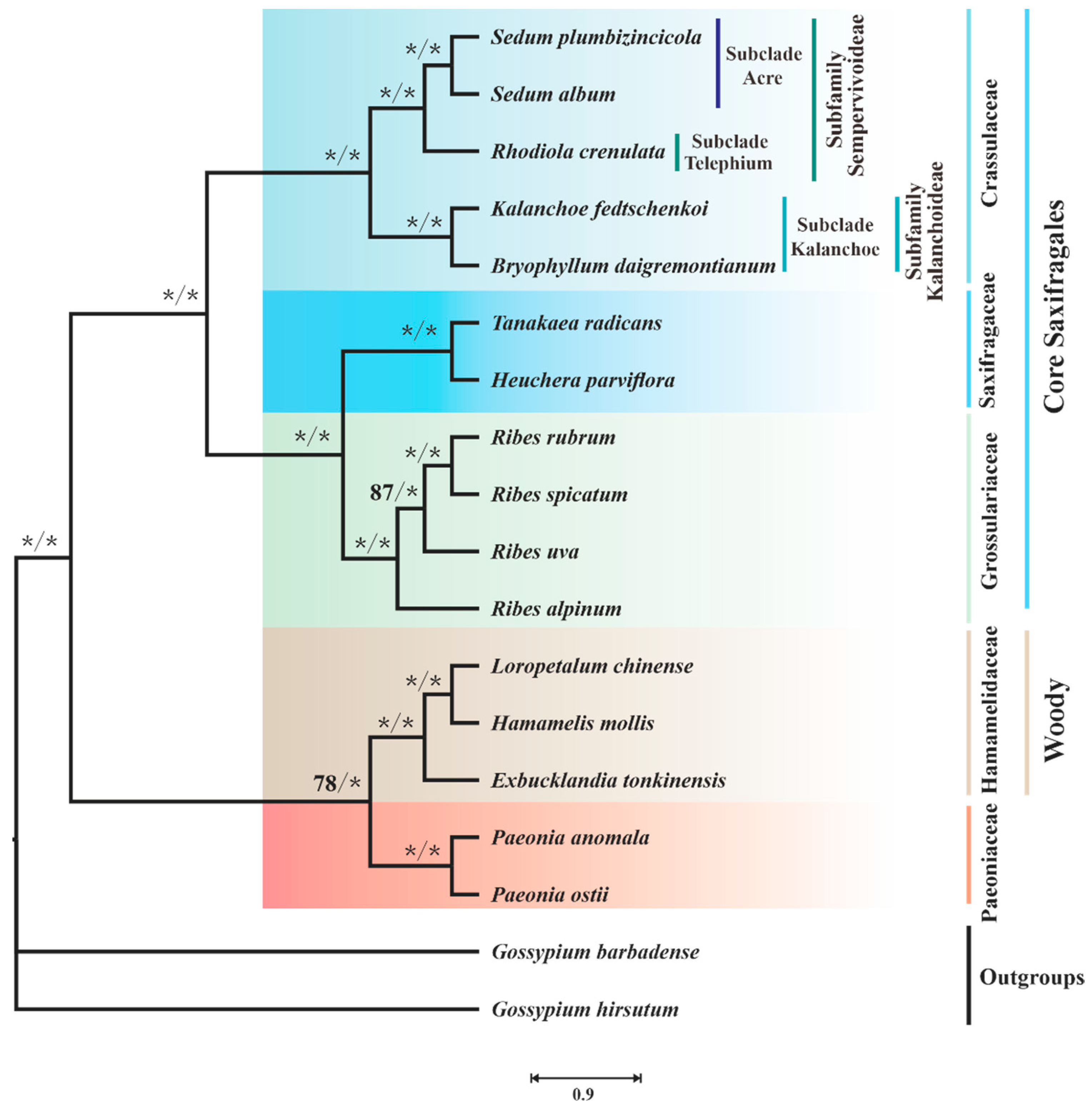 Biology 11 01661 g009