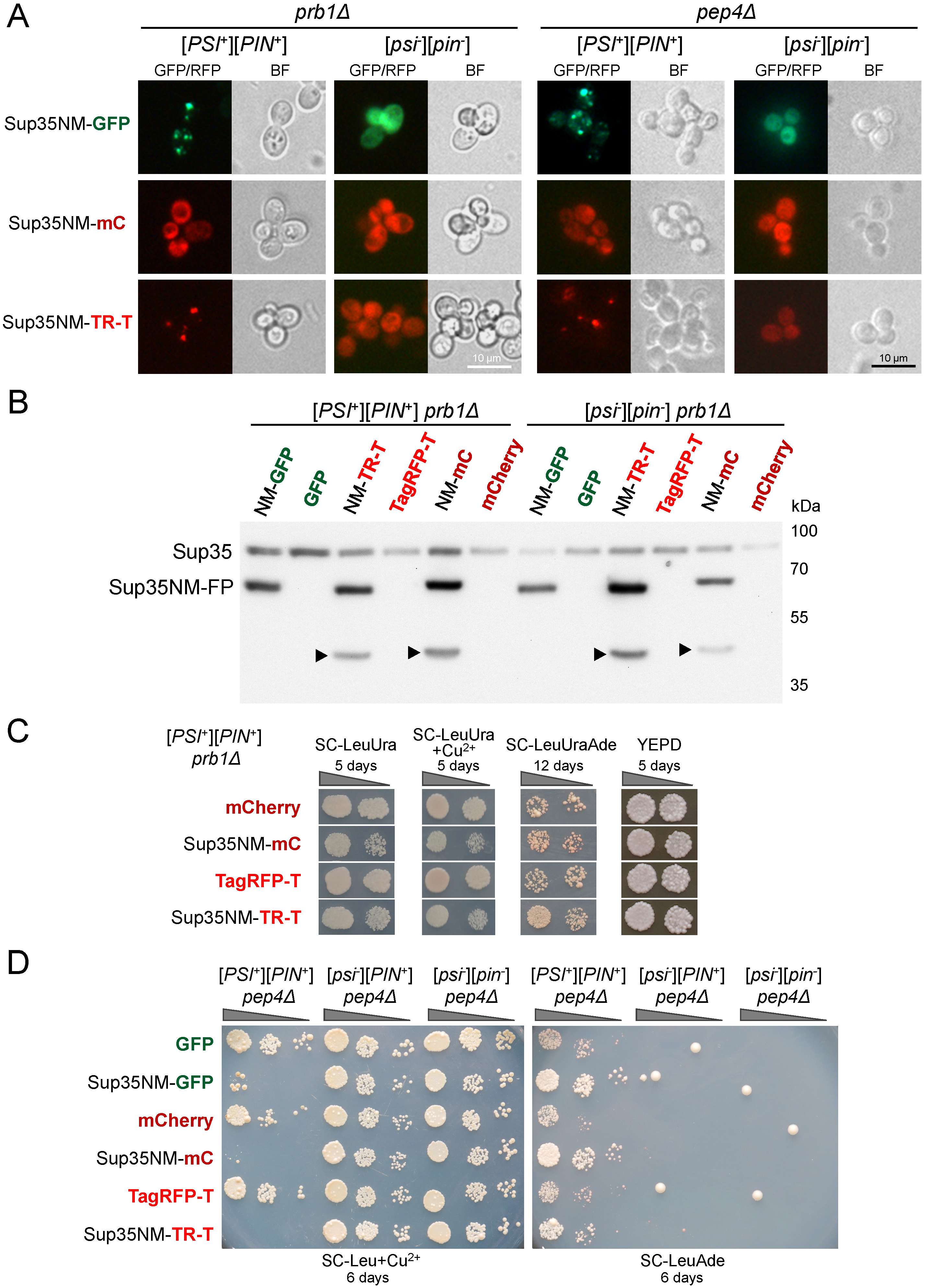 Biology 11 01688 g005