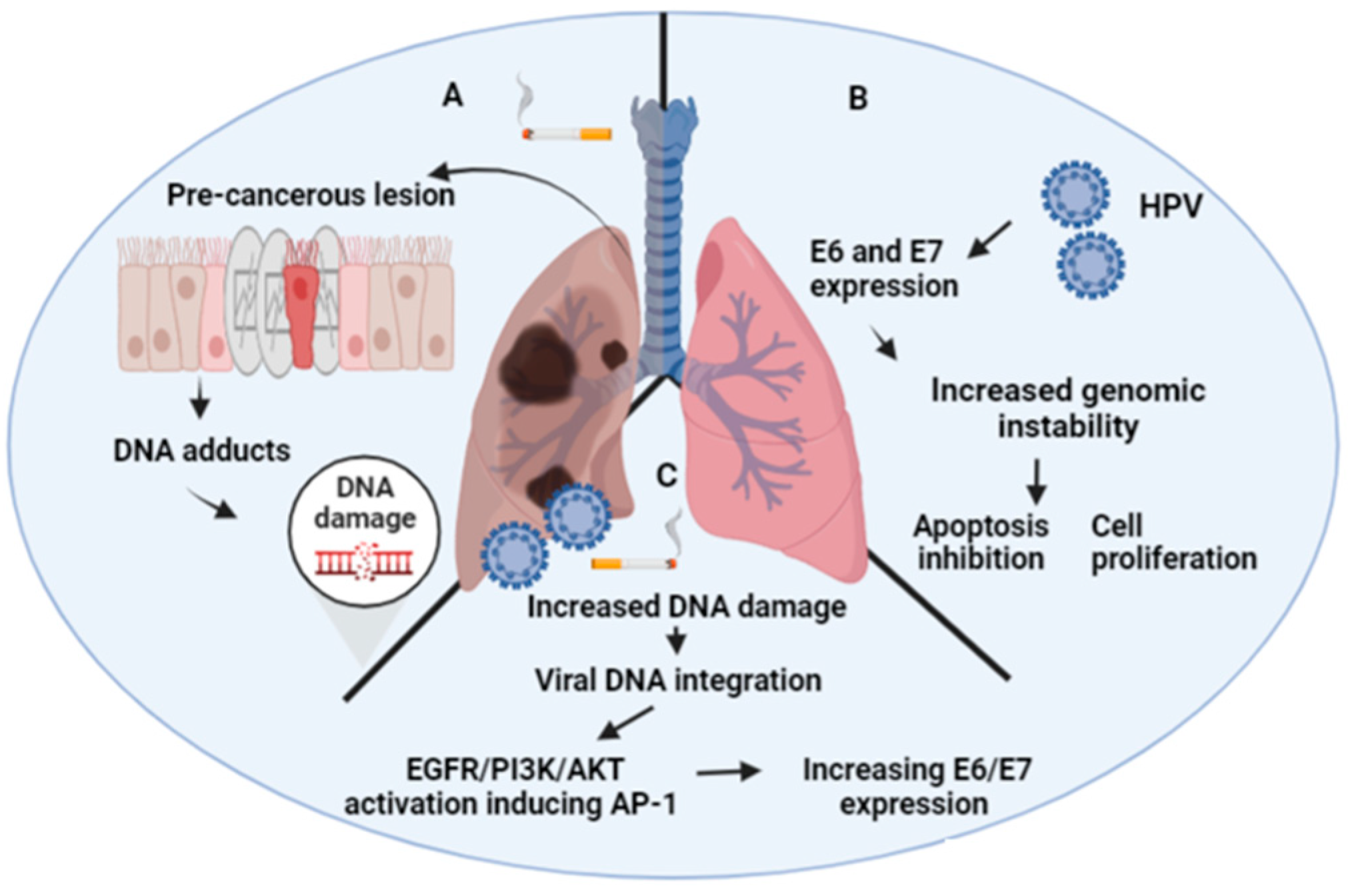 Biology 11 01691 g001 Biology 11 01691 g001