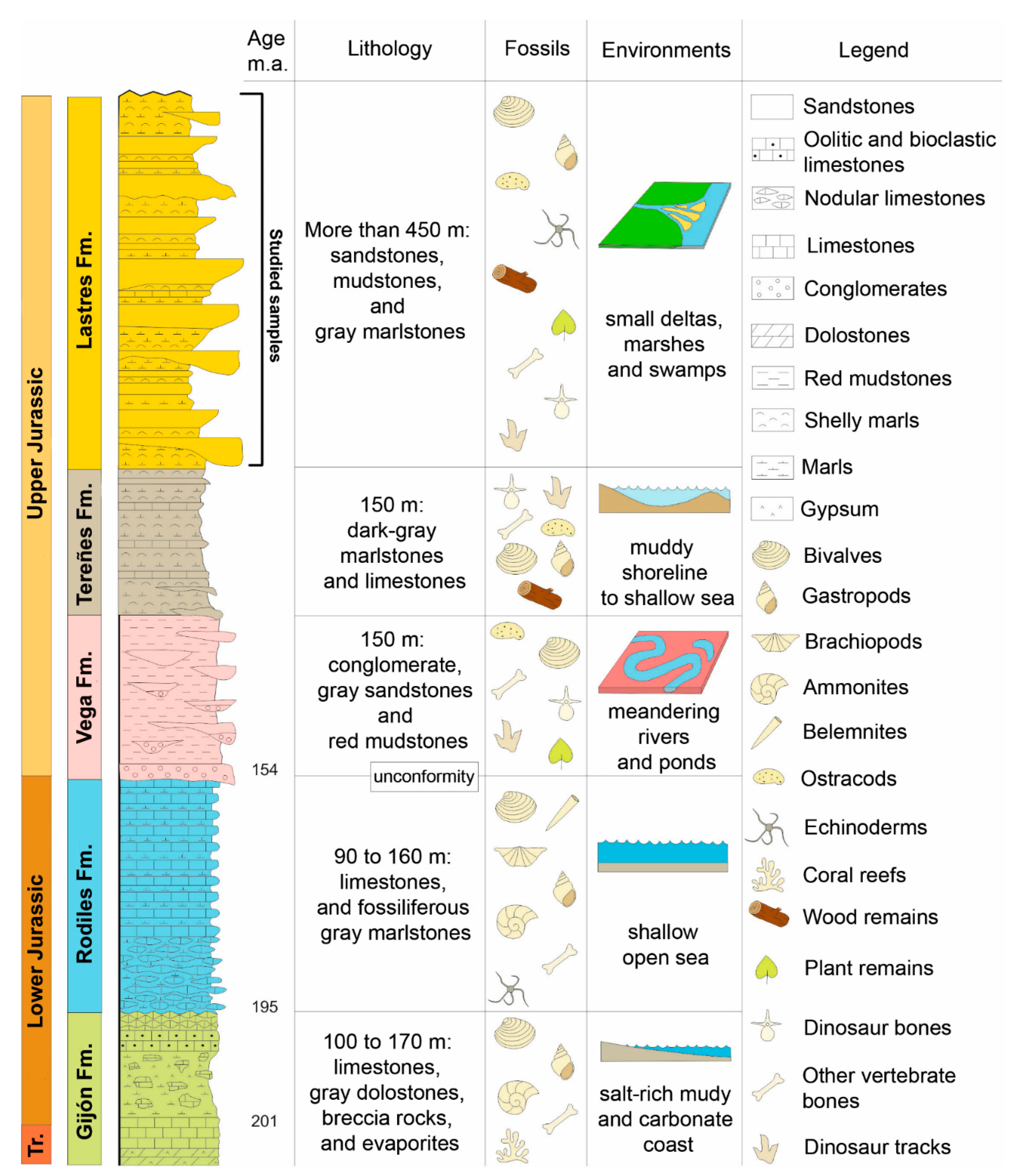 Biology 11 01695 g002