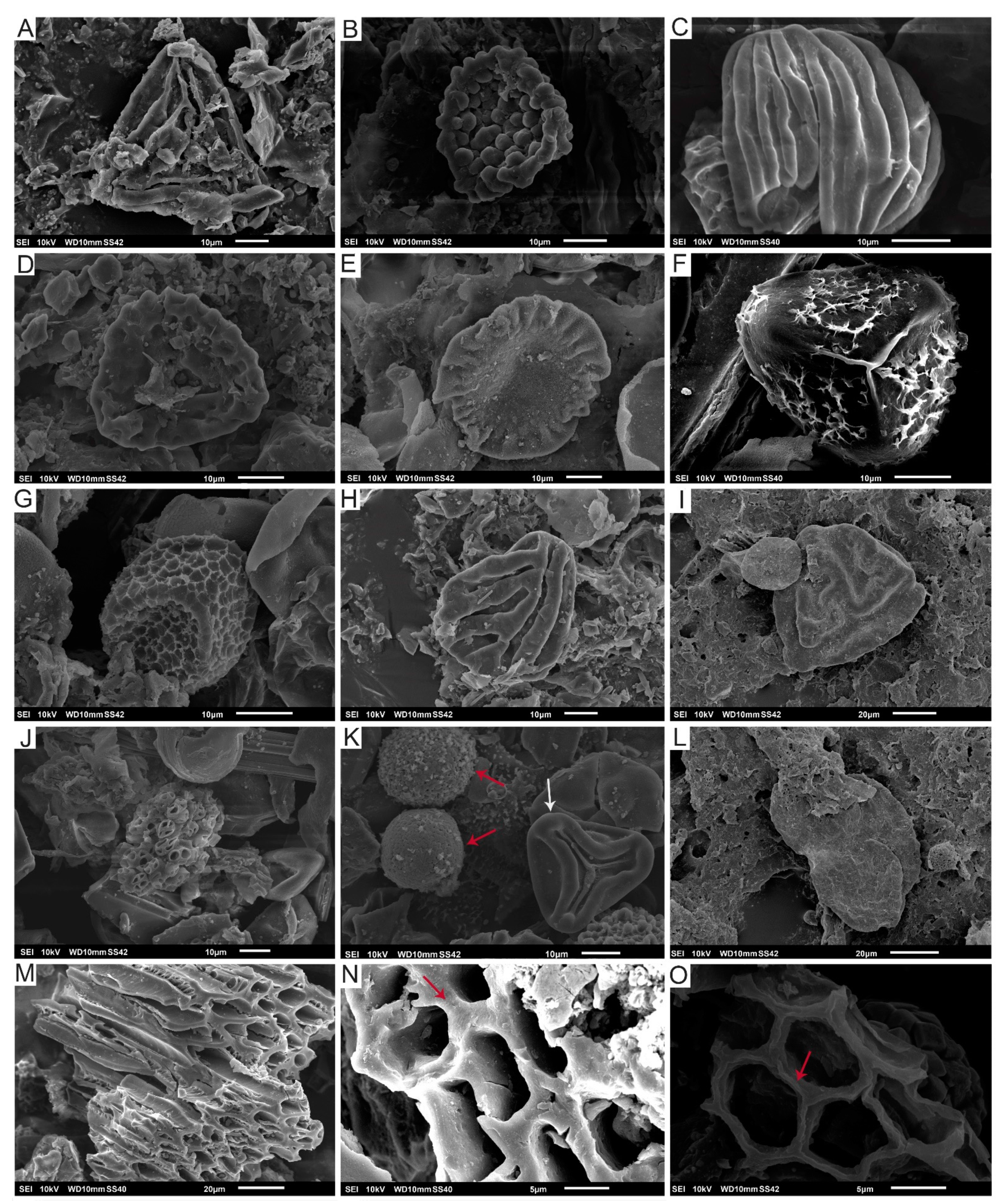 Biology 11 01695 g004