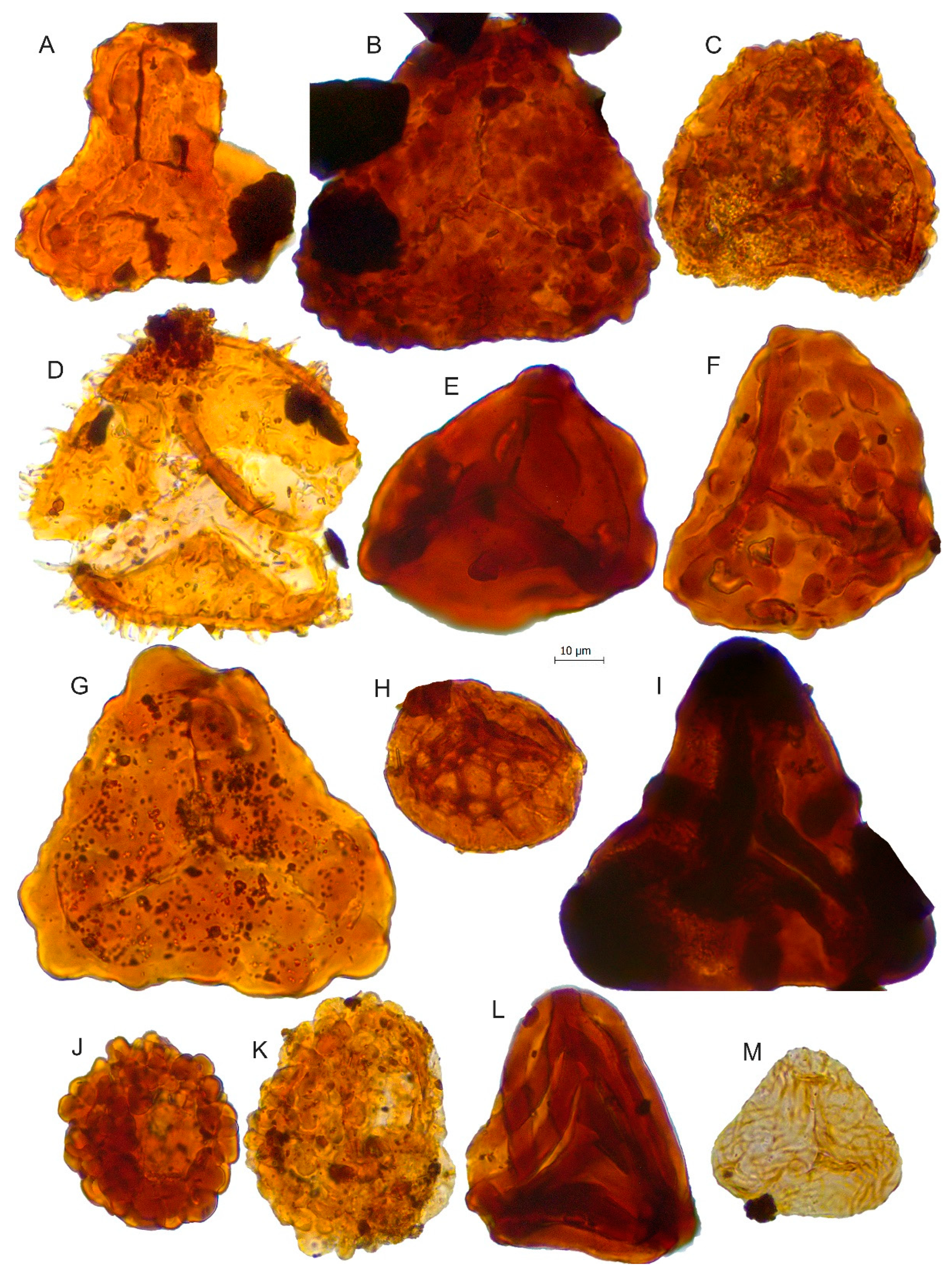 Biology 11 01695 g007