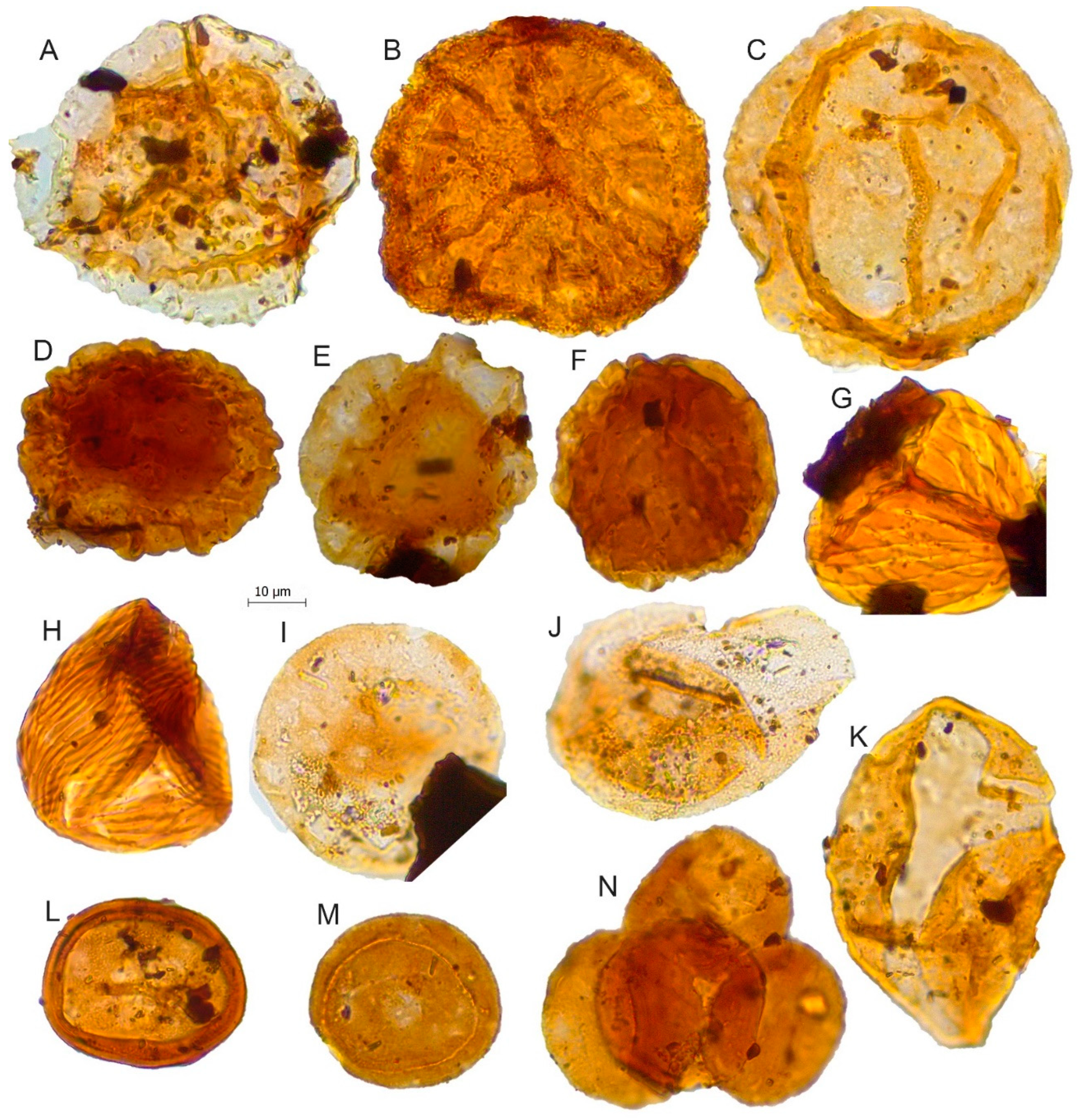 Biology 11 01695 g008