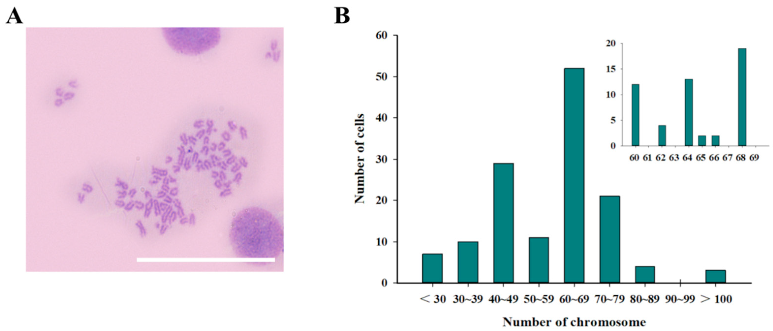 Biology 11 01697 g004 Biology 11 01697 g004