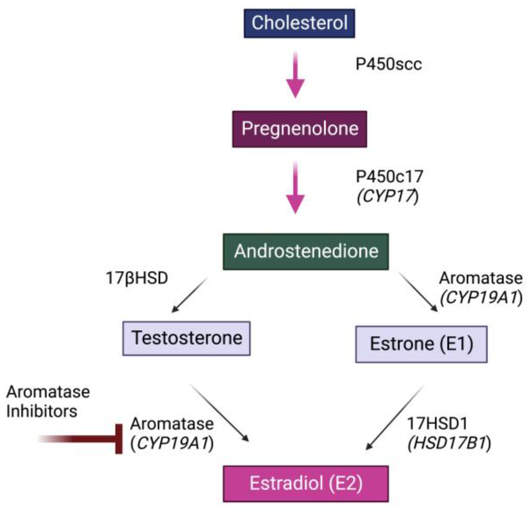 Biology 11 01698 g001
