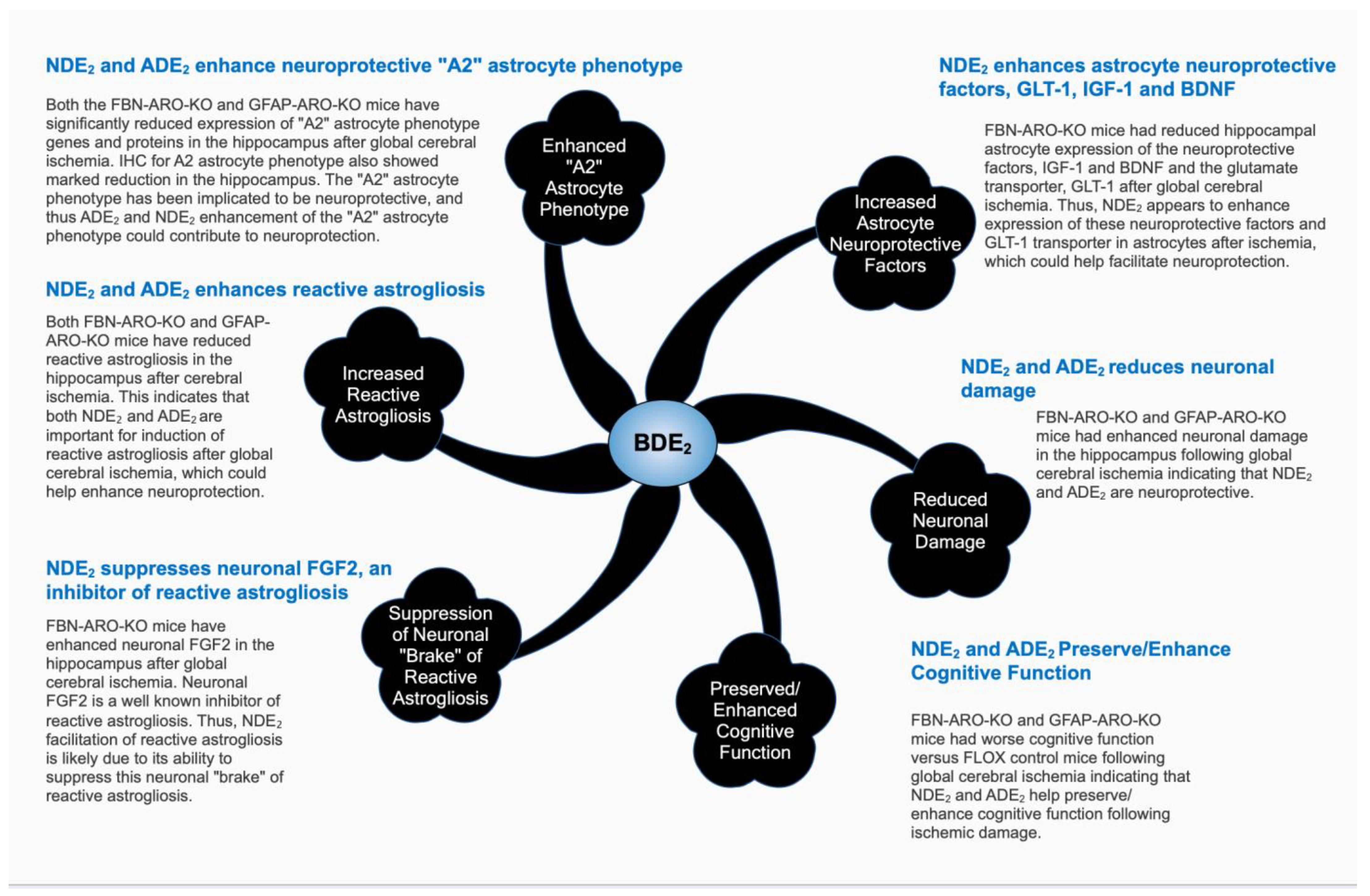 Biology 11 01698 g002