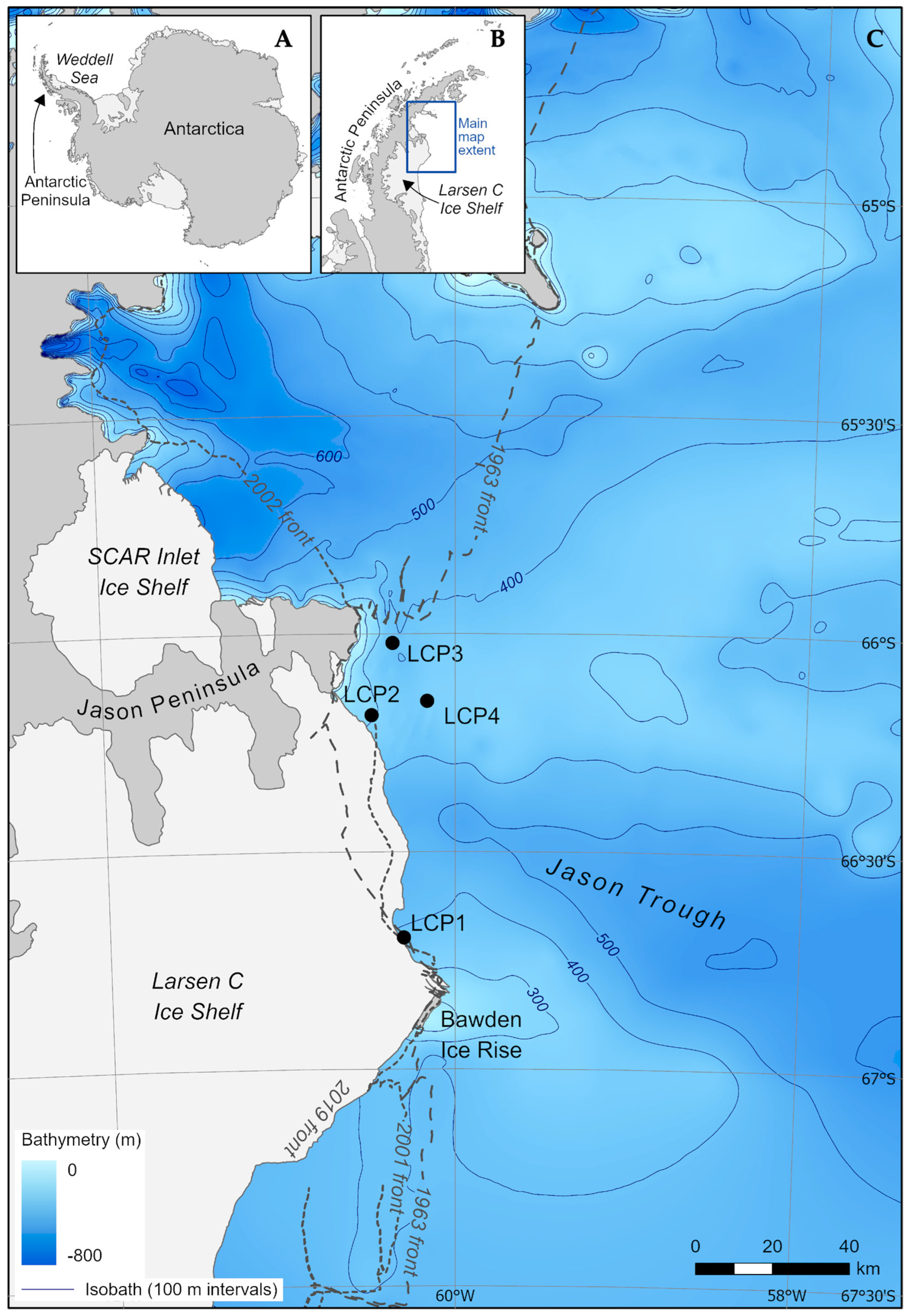 Biology 11 01705 g001