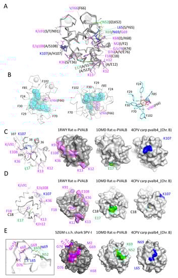 Biology 11 01713 g009