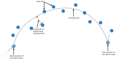 Biology 11 01715 i004