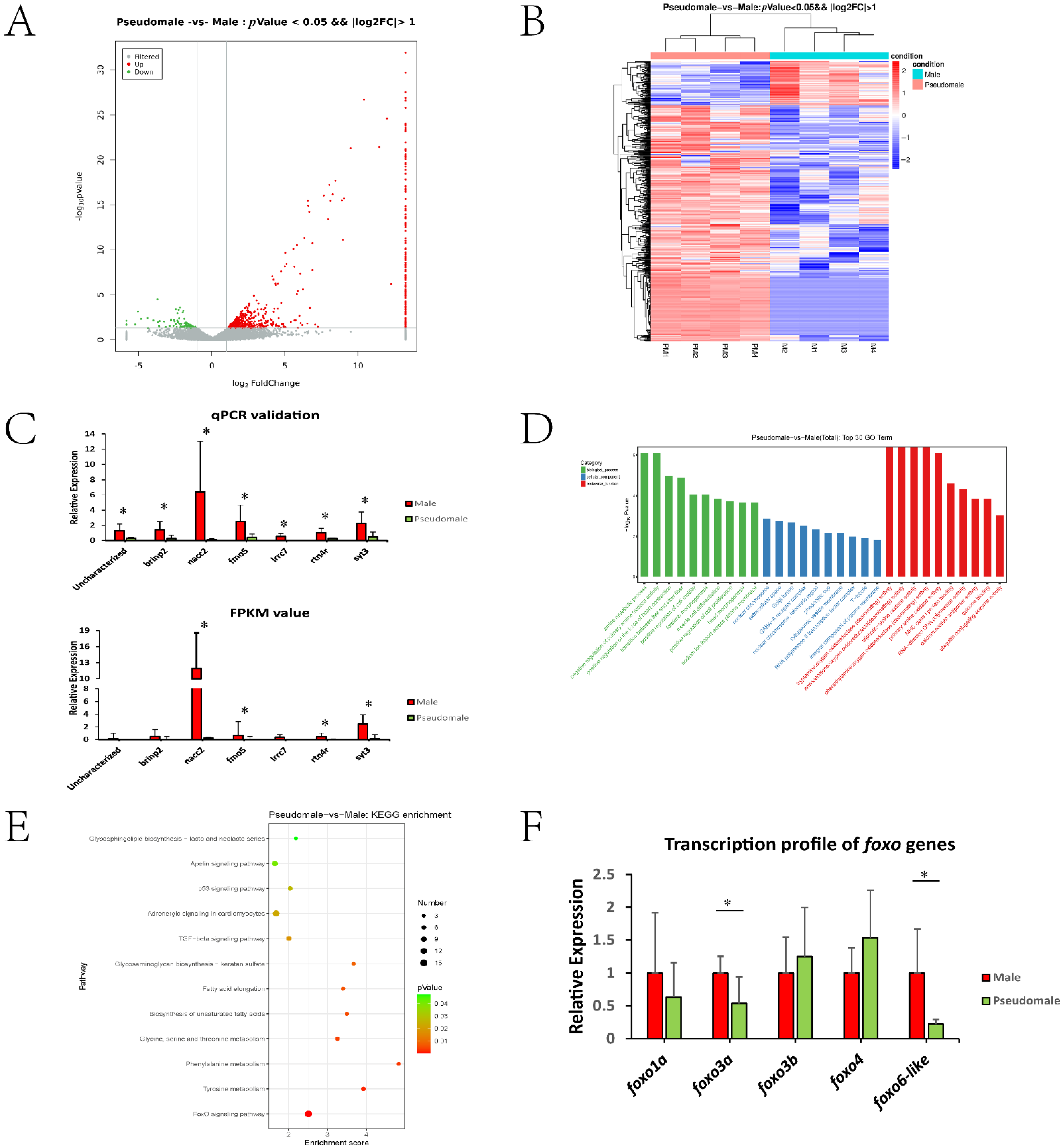 Biology 11 01716 g001