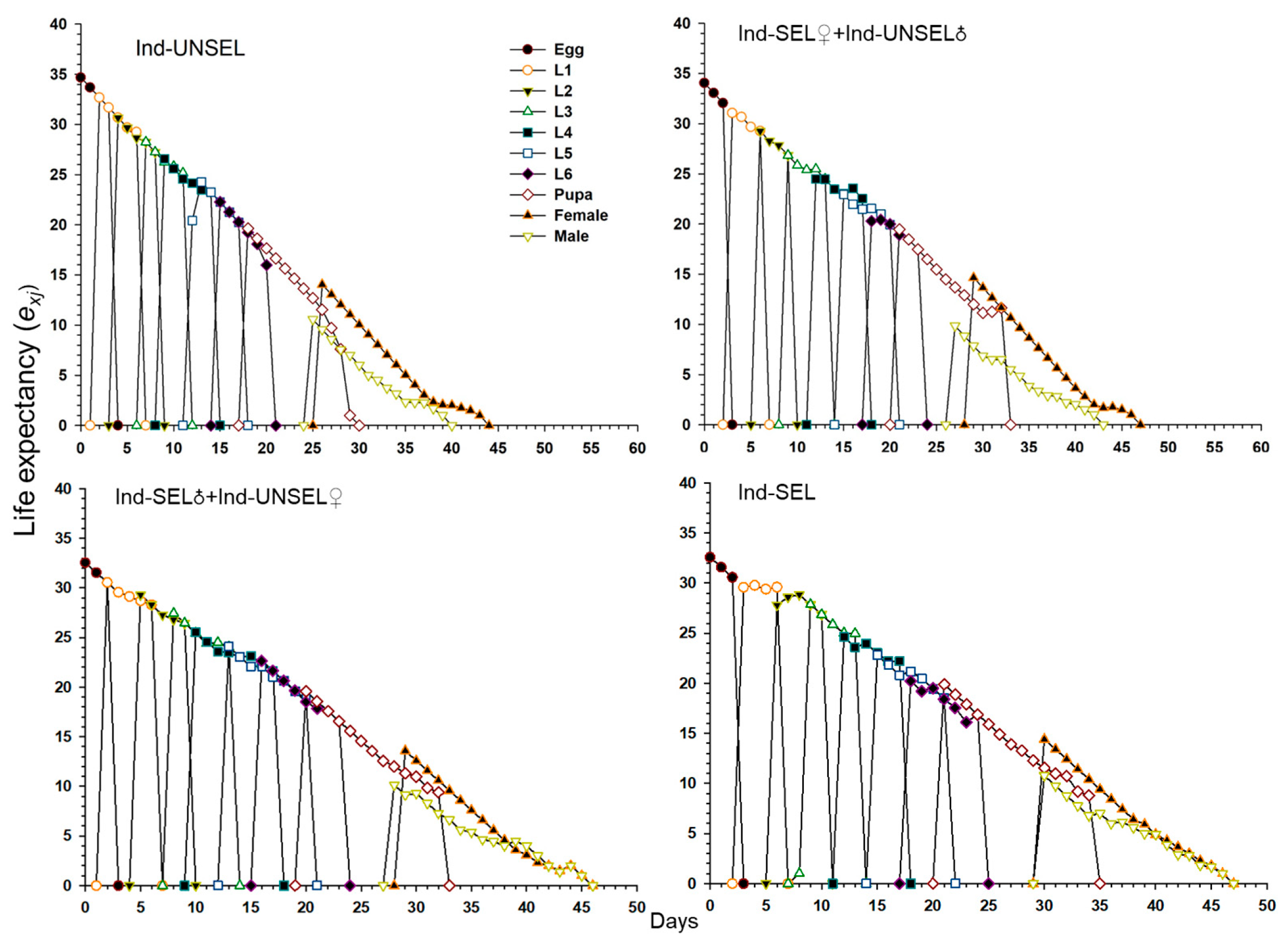 Biology 11 01718 g005 Biology 11 01718 g005