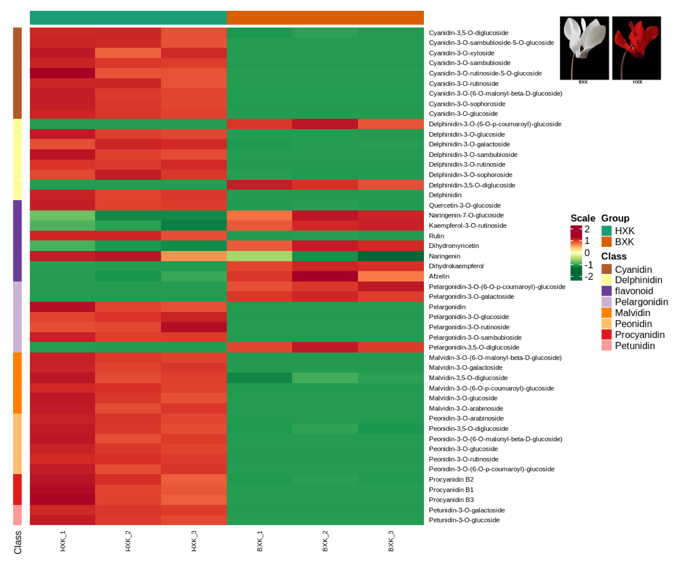 Biology 11 01721 g001