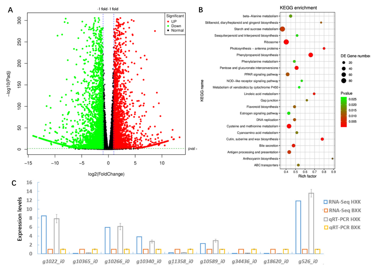 Biology 11 01721 g002