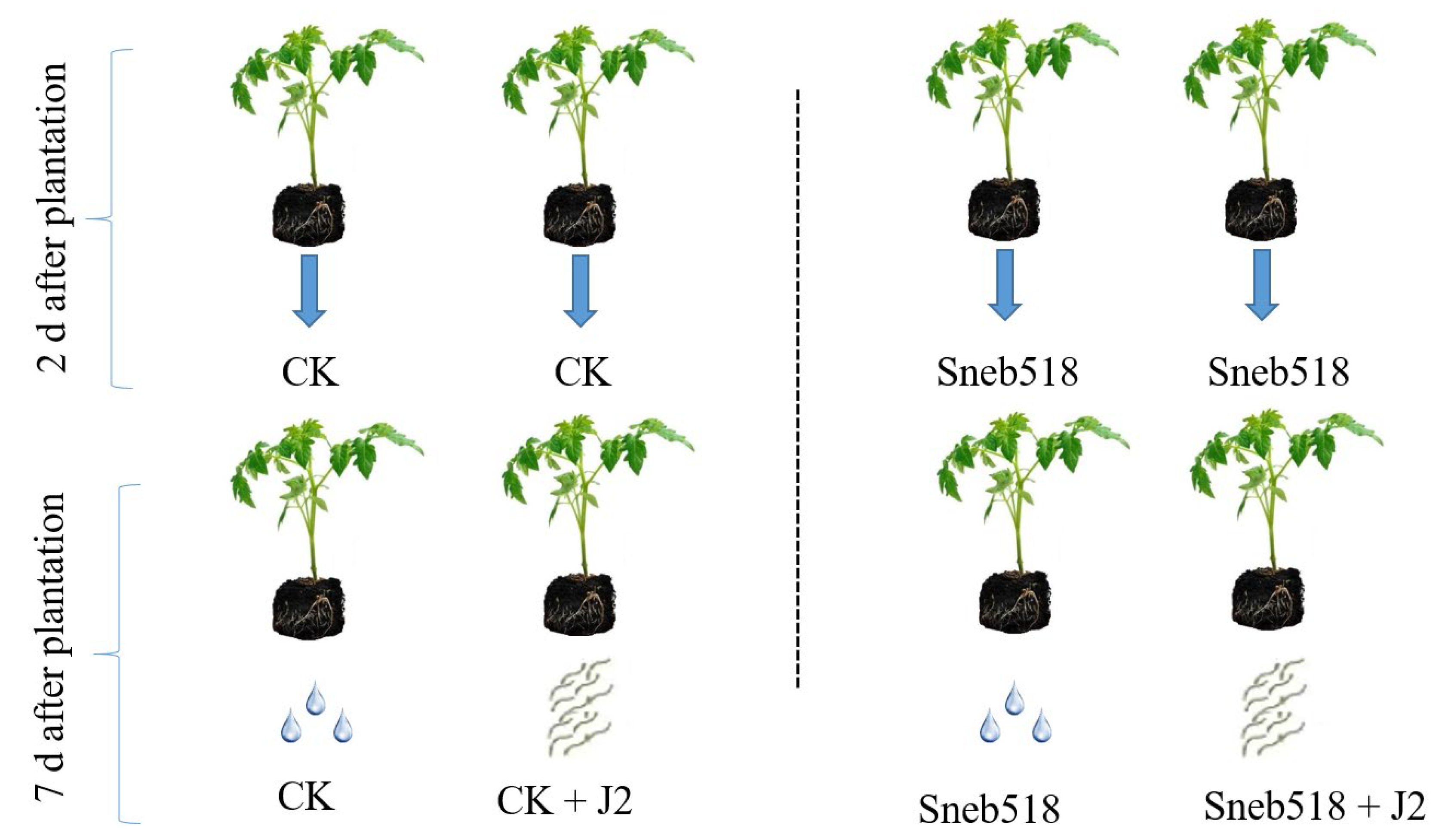 Biology 11 01724 g001