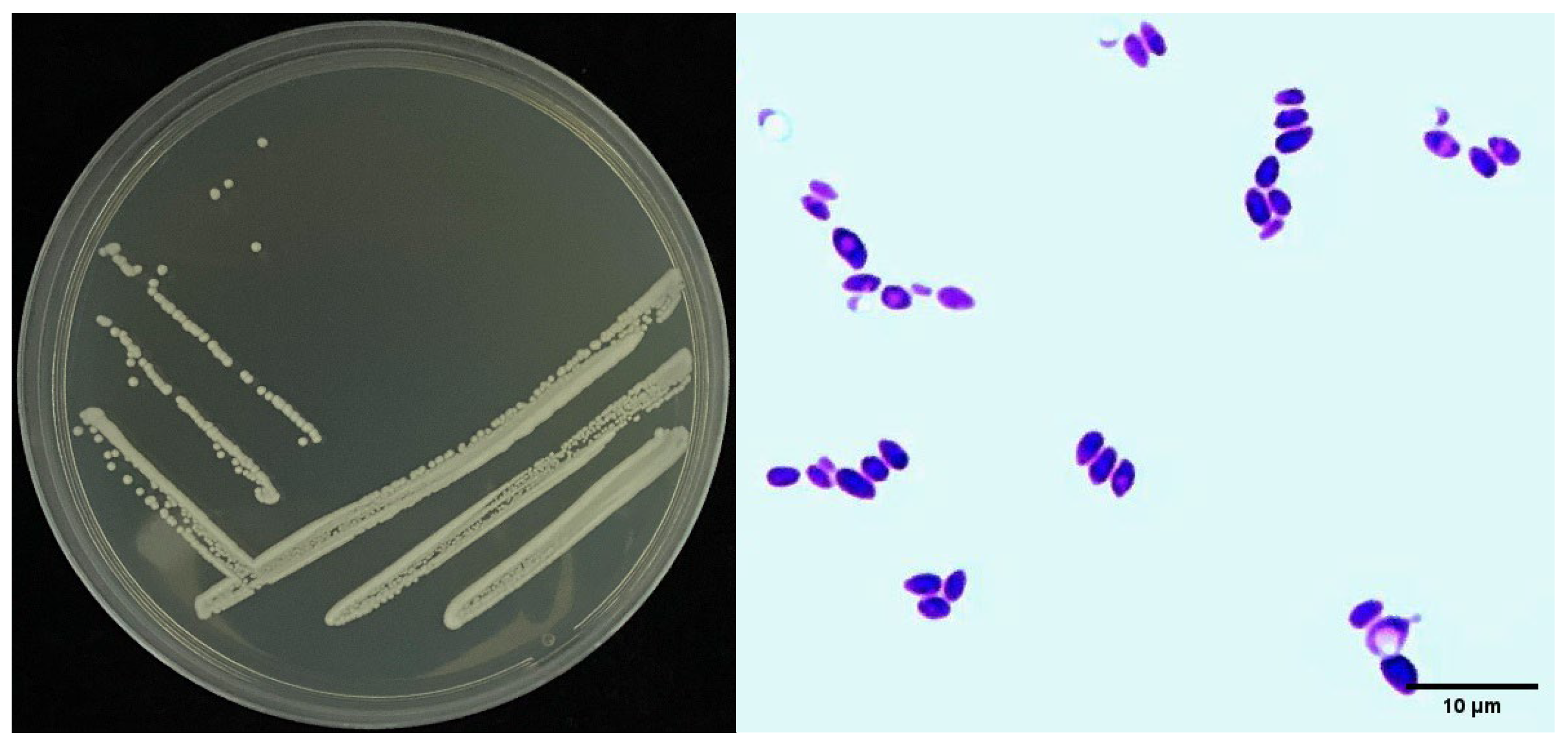 Biology 11 01724 g002
