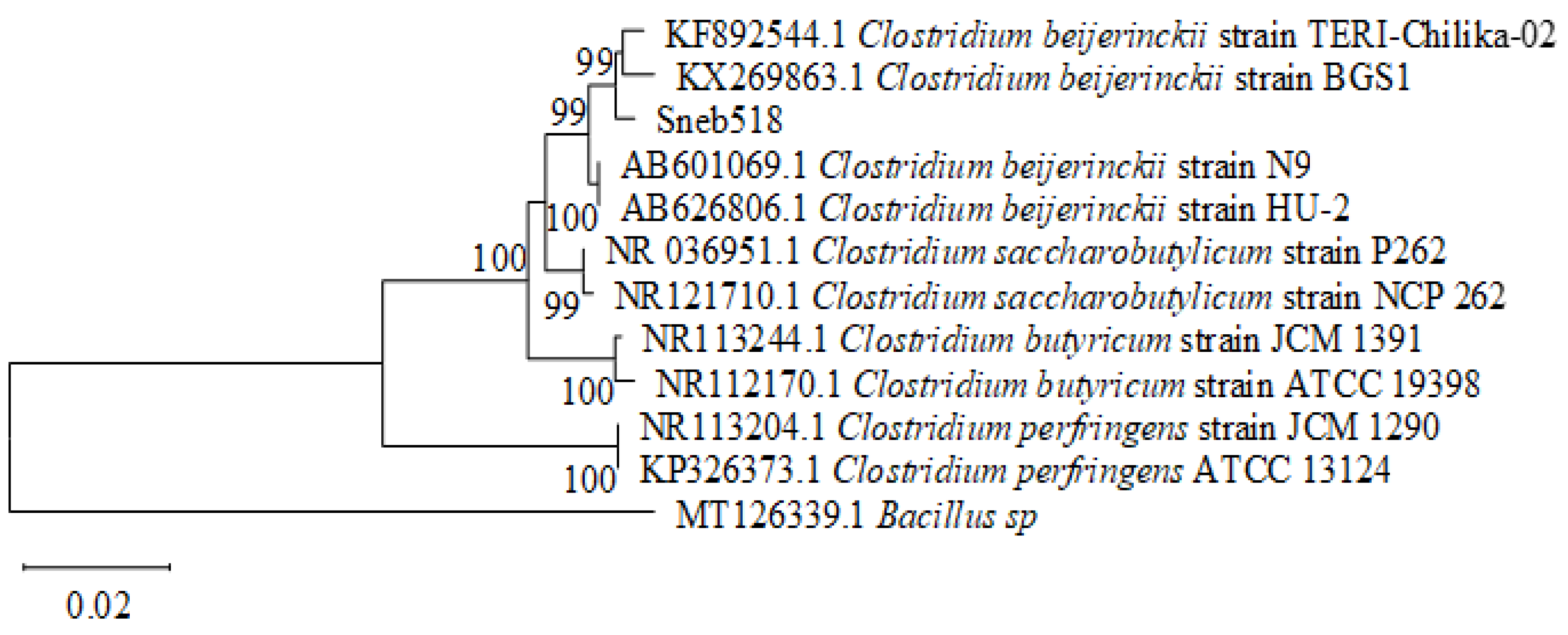 Biology 11 01724 g003