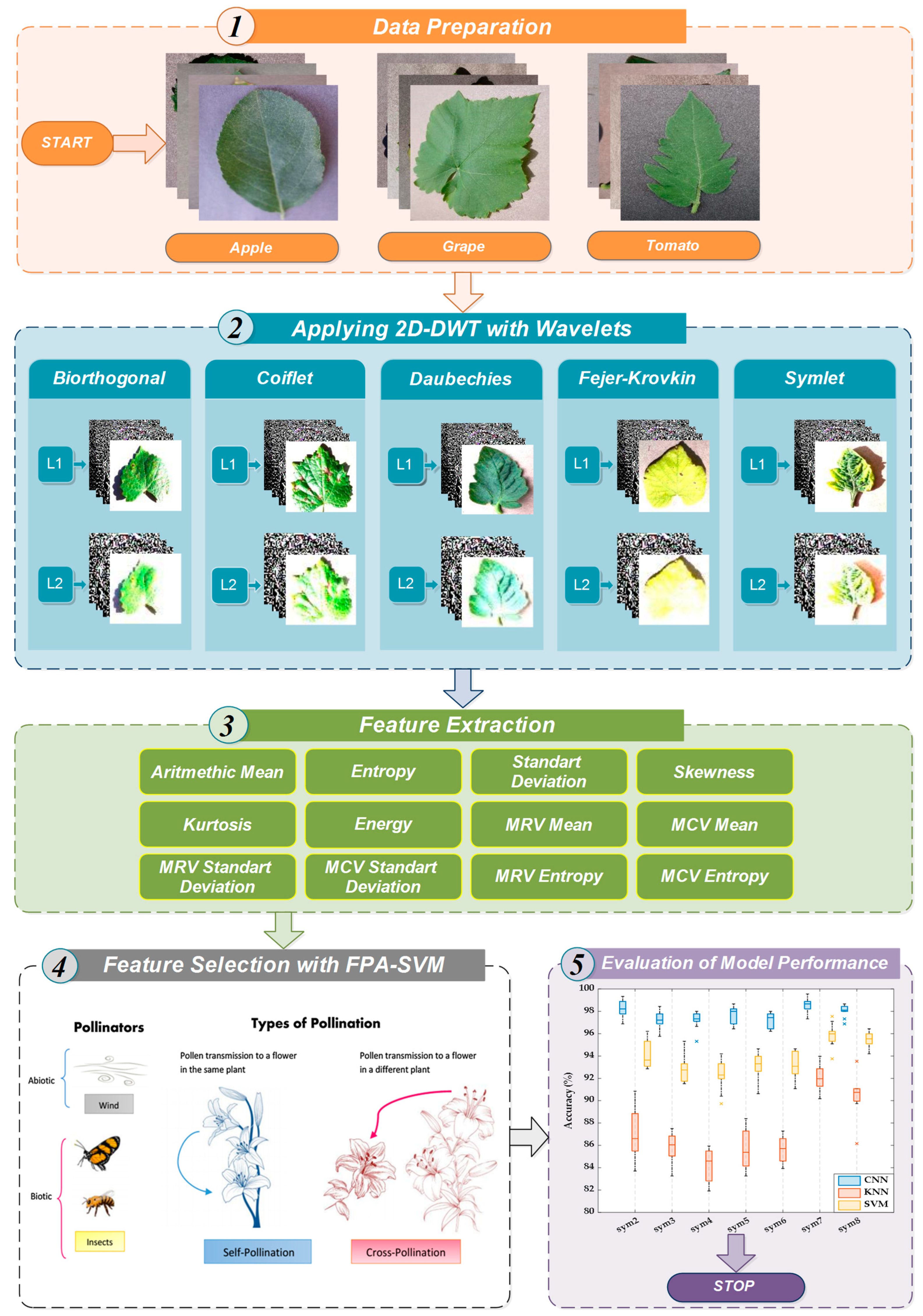 Biology 11 01732 g002