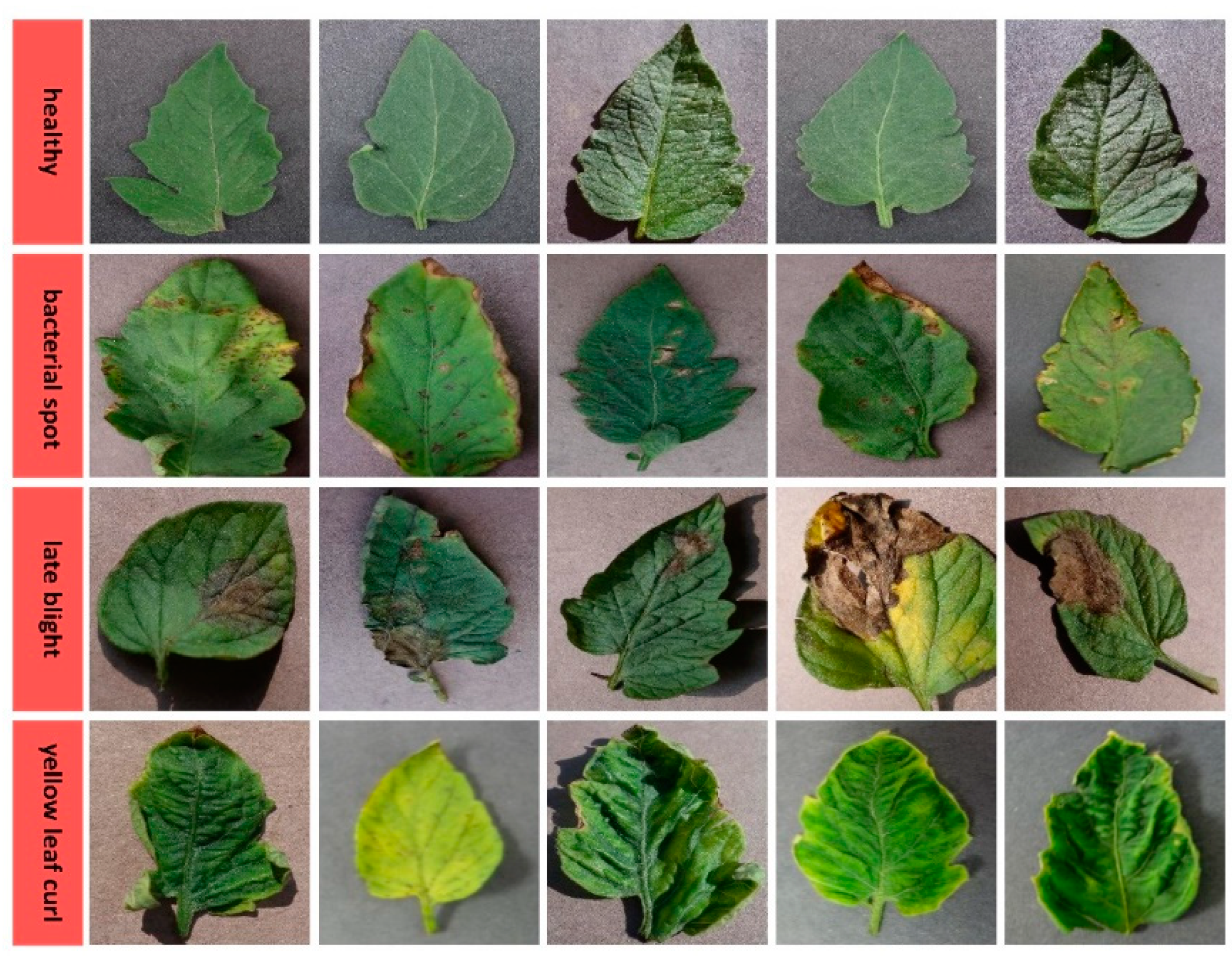 Biology 11 01732 g005